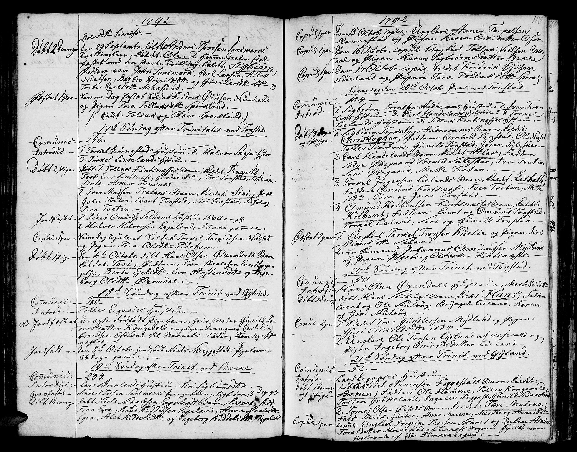 Bakke sokneprestkontor, AV/SAK-1111-0002/F/Fa/Faa/L0002: Parish register (official) no. A 2, 1780-1816, p. 113