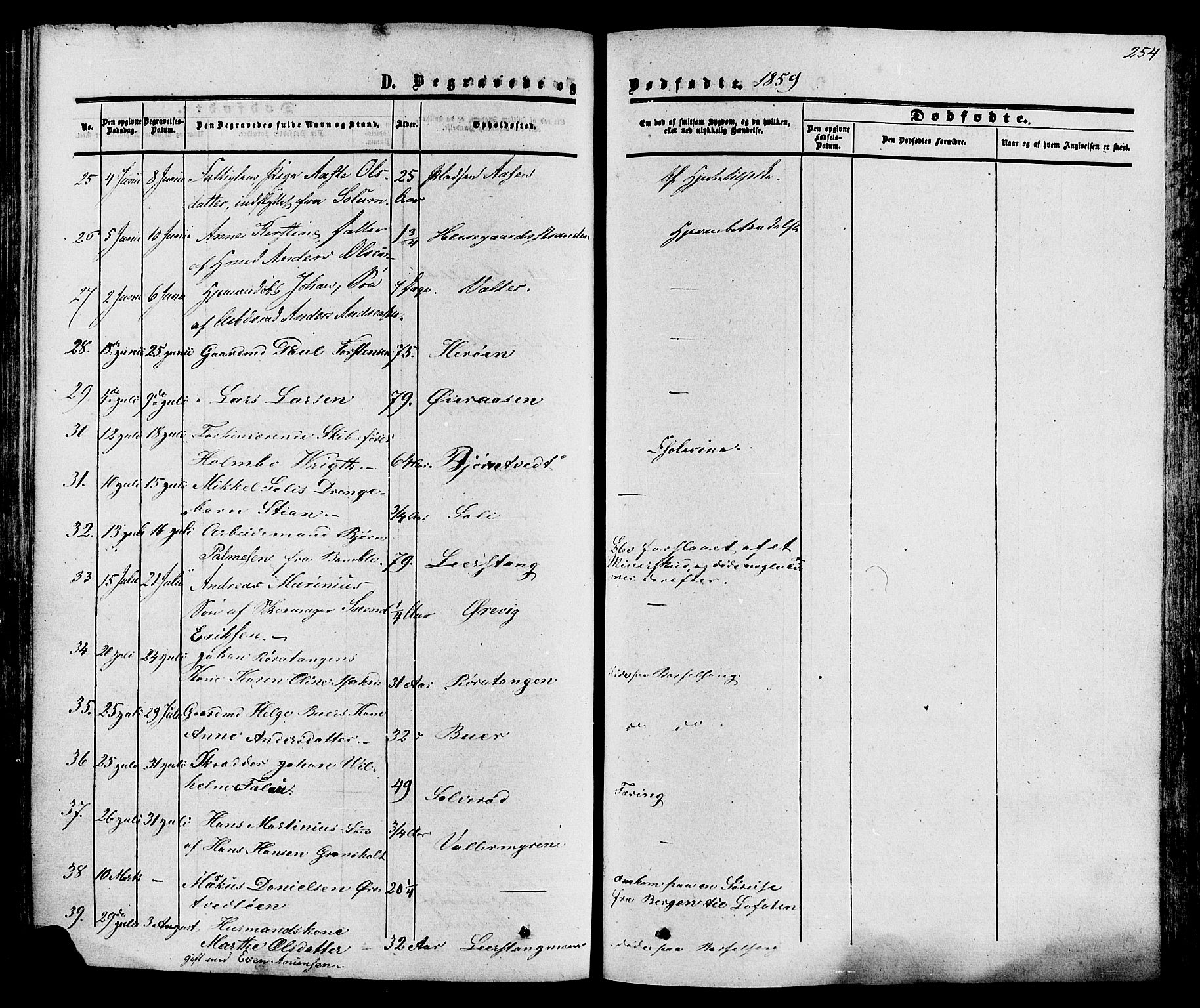 Eidanger kirkebøker, AV/SAKO-A-261/F/Fa/L0010: Parish register (official) no. 10, 1859-1874, p. 254