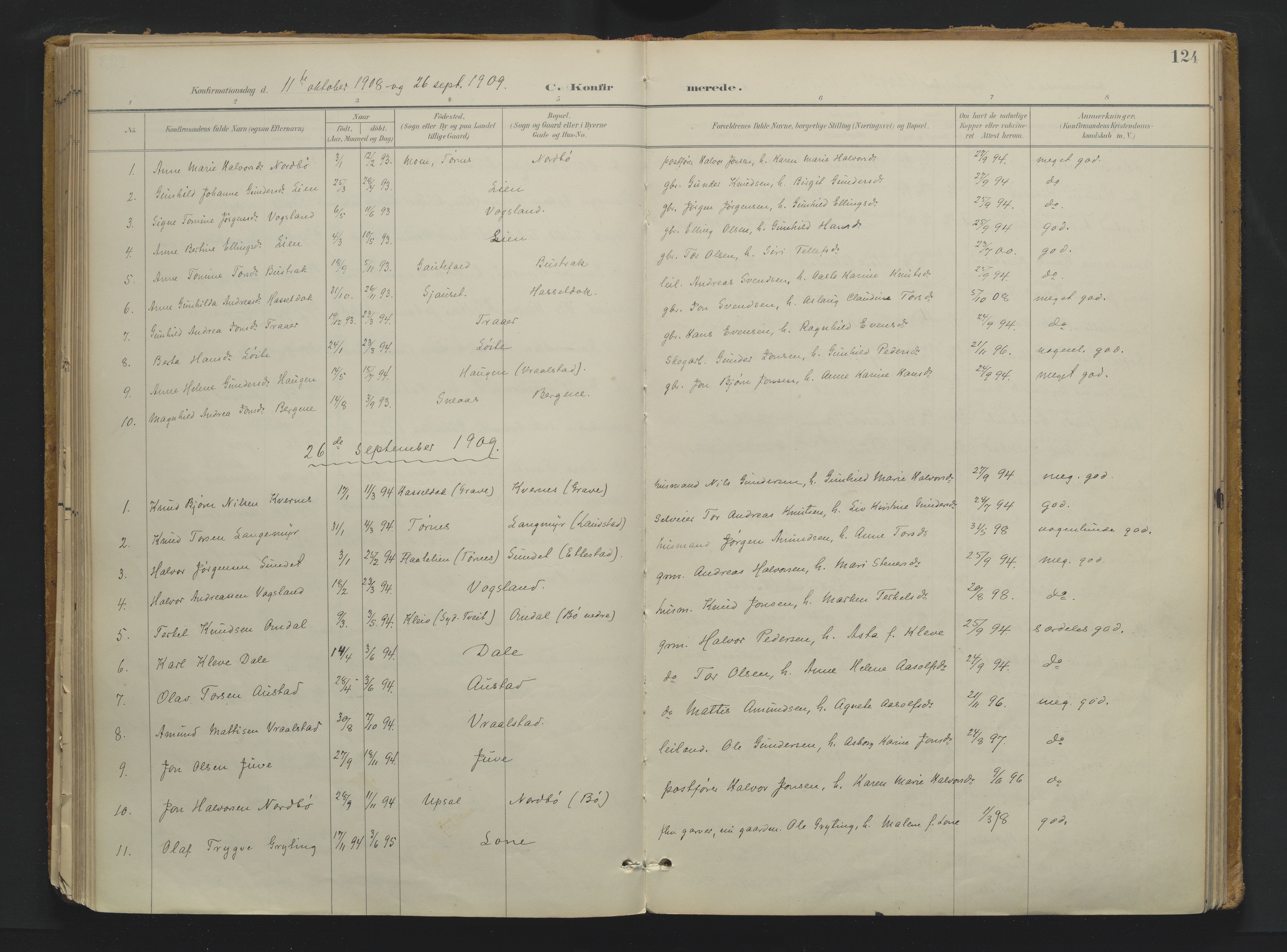 Drangedal kirkebøker, SAKO/A-258/F/Fa/L0013: Parish register (official) no. 13, 1895-1919, p. 124