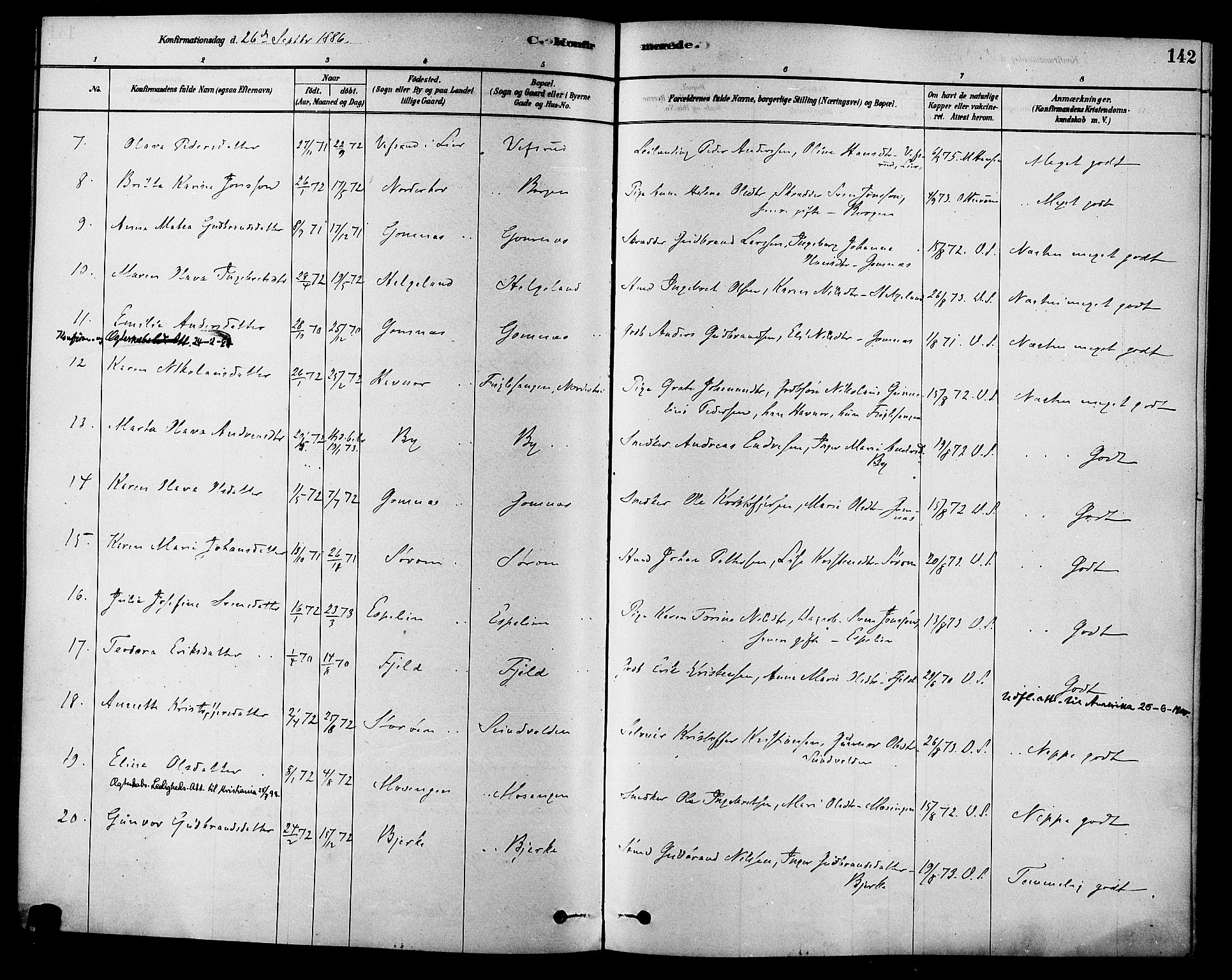 Hole kirkebøker, SAKO/A-228/F/Fa/L0008: Parish register (official) no. I 8, 1878-1891, p. 142