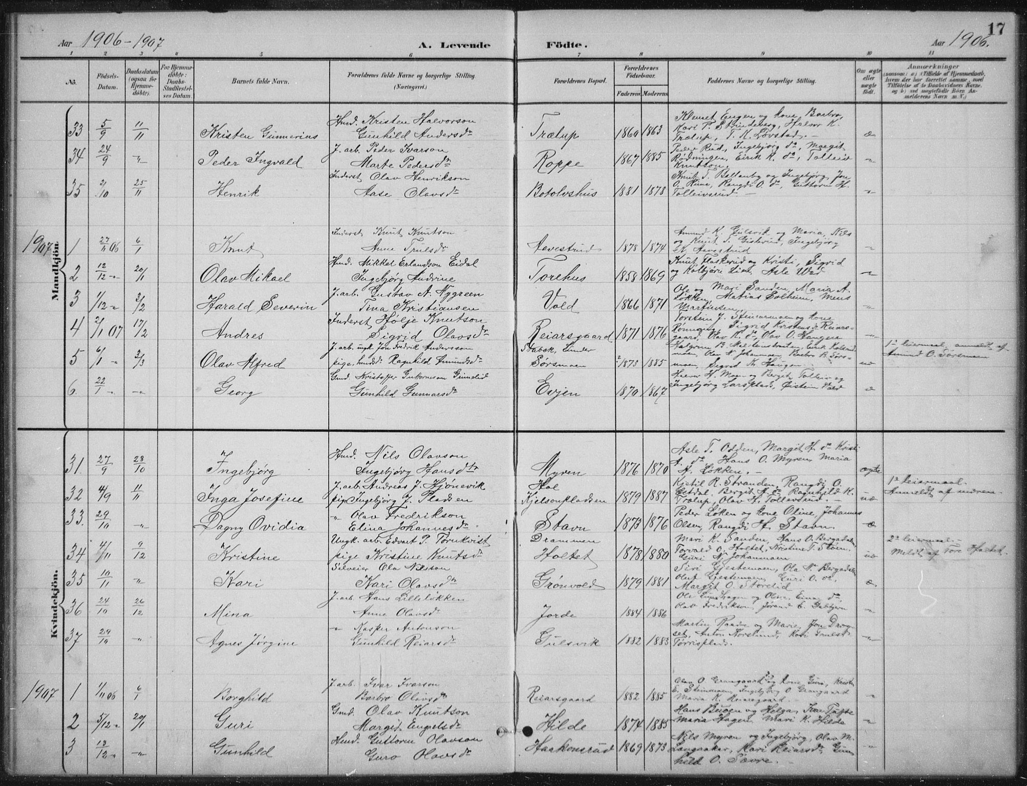 Nes kirkebøker, AV/SAKO-A-236/G/Gb/L0001: Parish register (copy) no. II 1, 1901-1939, p. 17