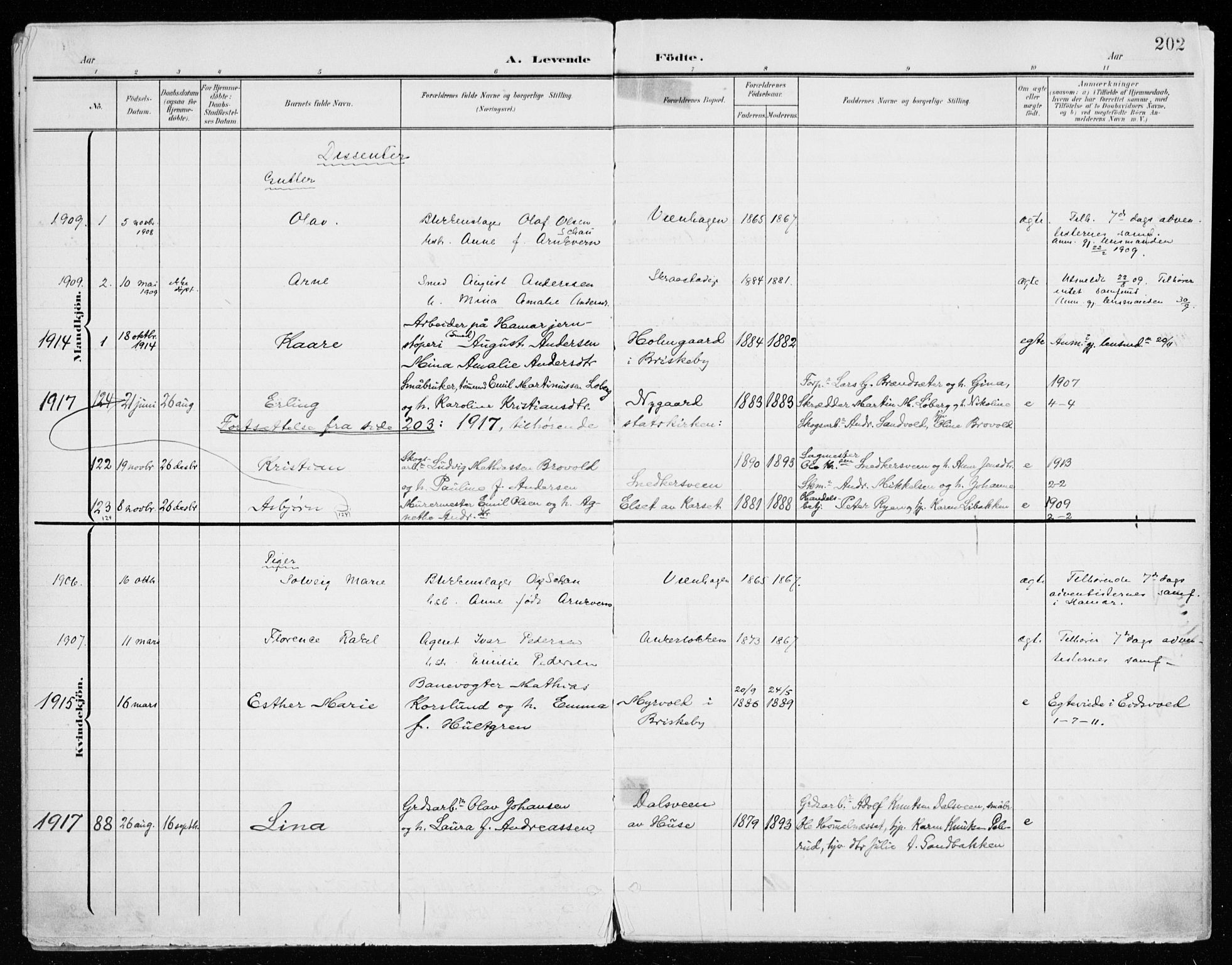 Vang prestekontor, Hedmark, SAH/PREST-008/H/Ha/Haa/L0021: Parish register (official) no. 21, 1902-1917, p. 202