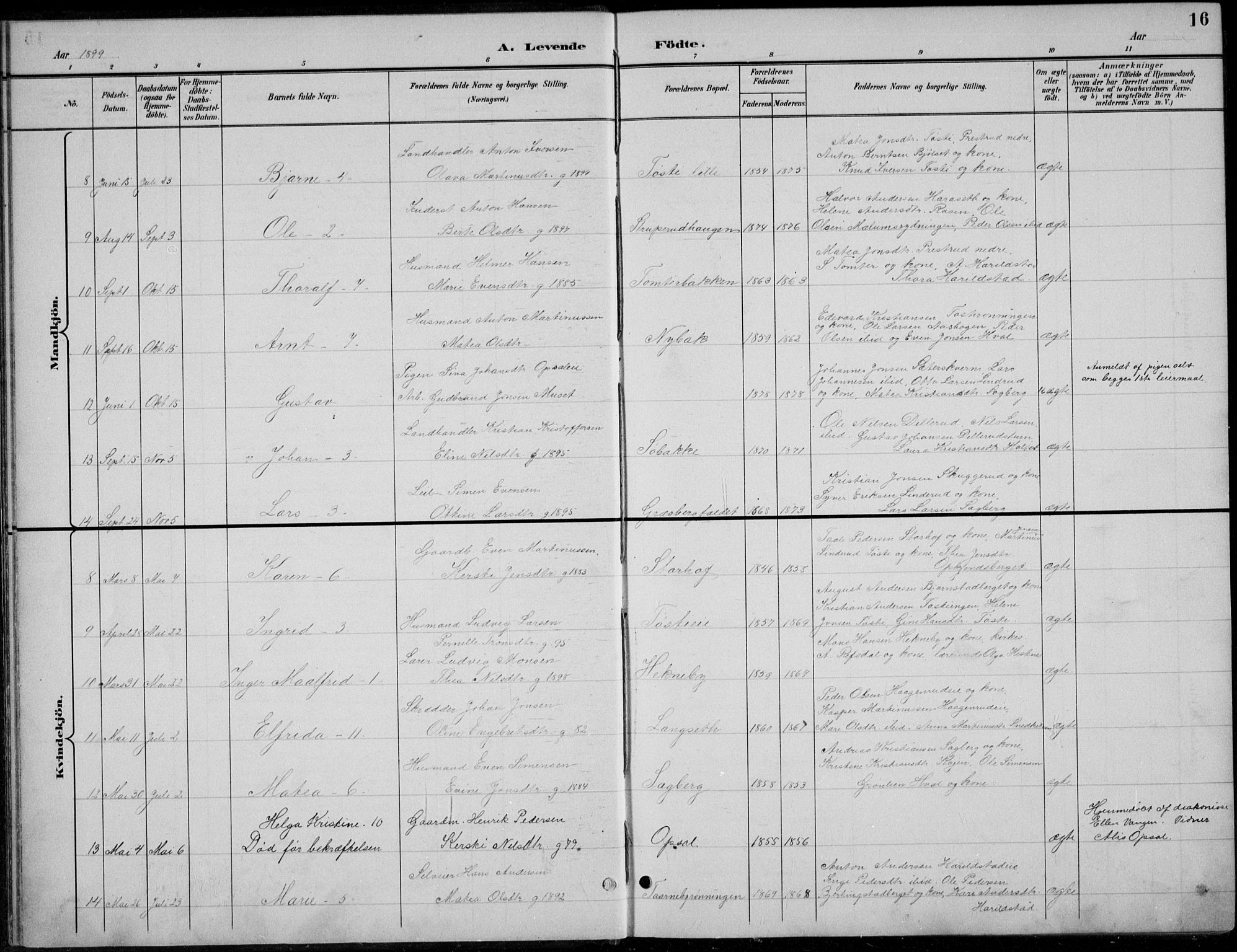 Romedal prestekontor, AV/SAH-PREST-004/L/L0013: Parish register (copy) no. 13, 1896-1937, p. 16