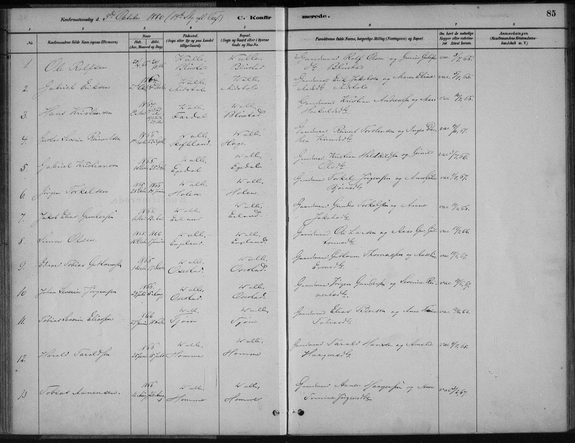 Sør-Audnedal sokneprestkontor, AV/SAK-1111-0039/F/Fa/Fab/L0009: Parish register (official) no. A 9, 1880-1895, p. 85