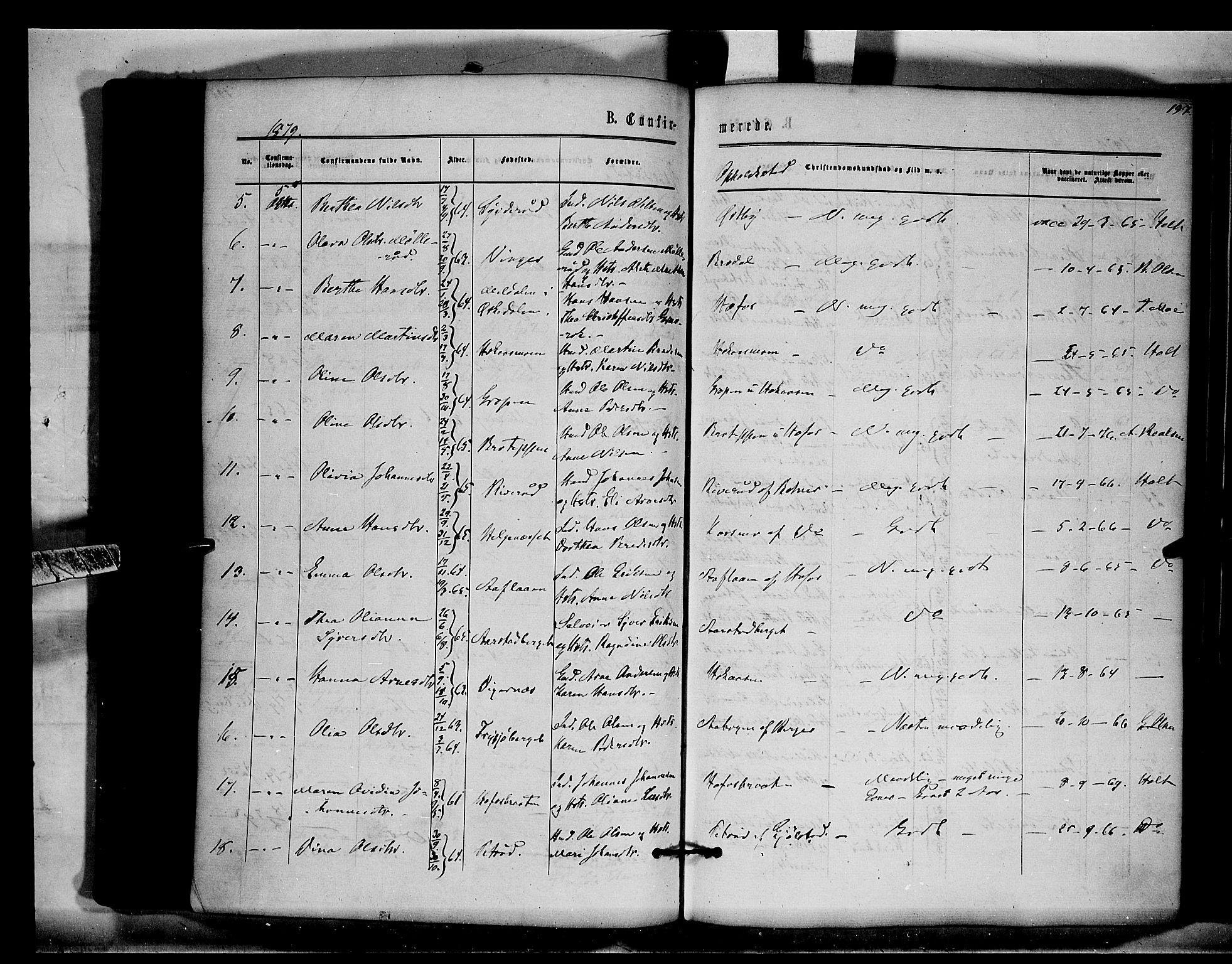 Brandval prestekontor, AV/SAH-PREST-034/H/Ha/Haa/L0001: Parish register (official) no. 1, 1864-1879, p. 197