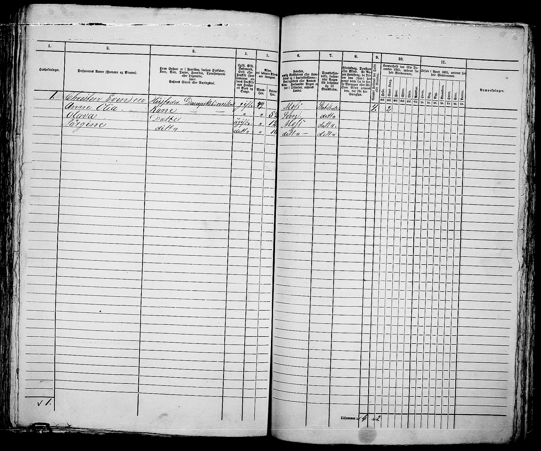 RA, 1865 census for Moss/Moss, 1865, p. 667