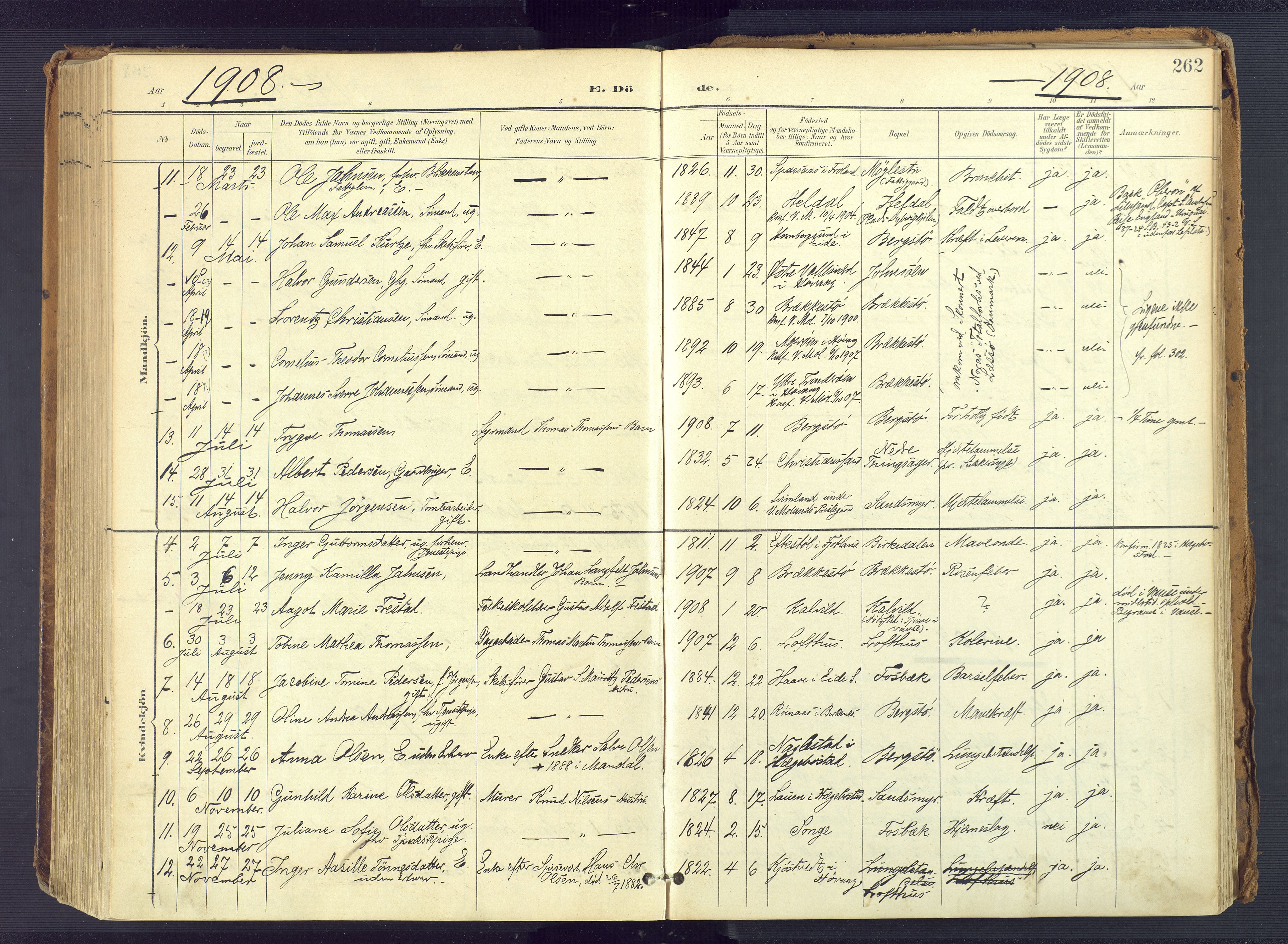 Vestre Moland sokneprestkontor, SAK/1111-0046/F/Fa/Fab/L0010: Parish register (official) no. A 10, 1900-1926, p. 262
