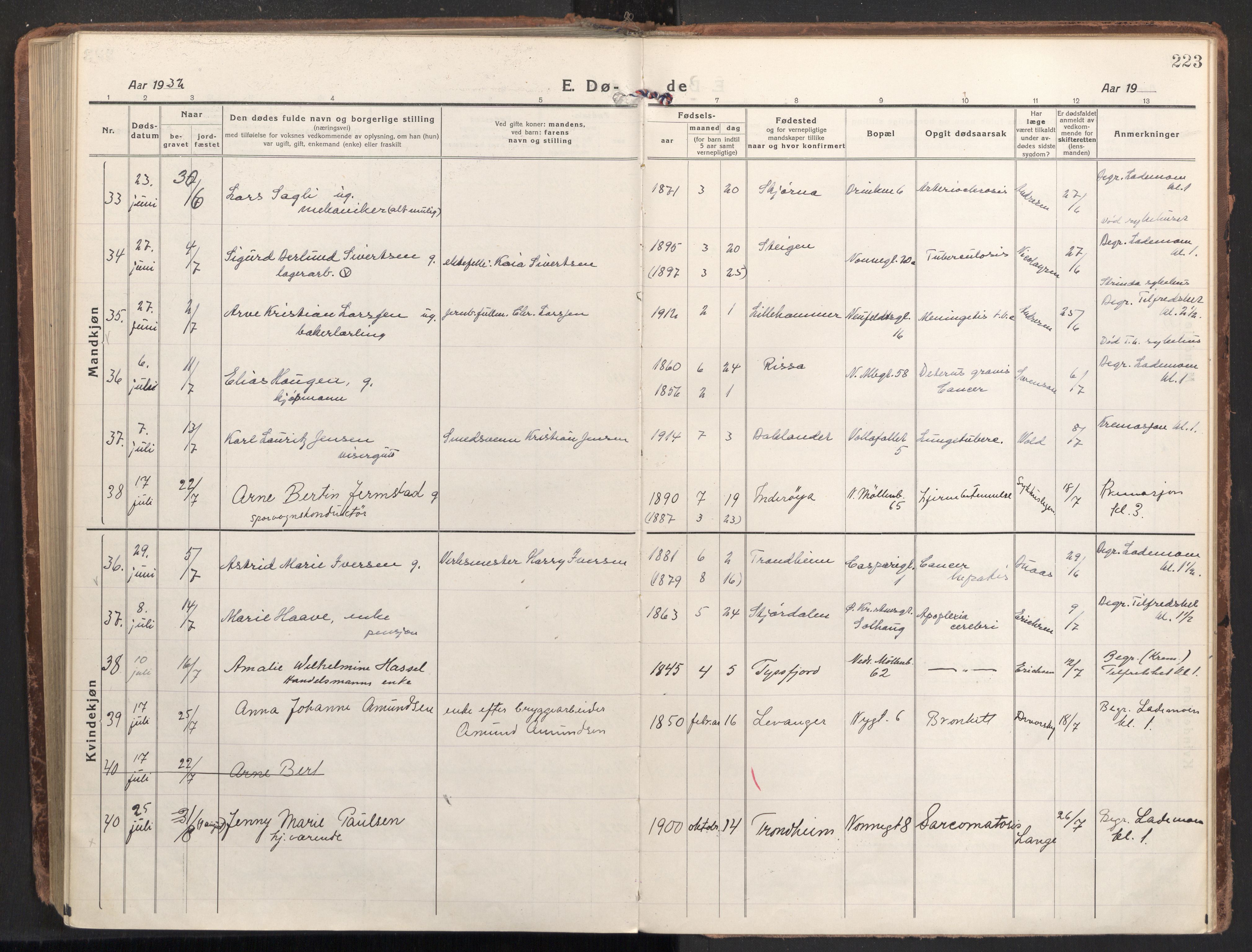 Ministerialprotokoller, klokkerbøker og fødselsregistre - Sør-Trøndelag, AV/SAT-A-1456/604/L0207: Parish register (official) no. 604A27, 1917-1933, p. 223