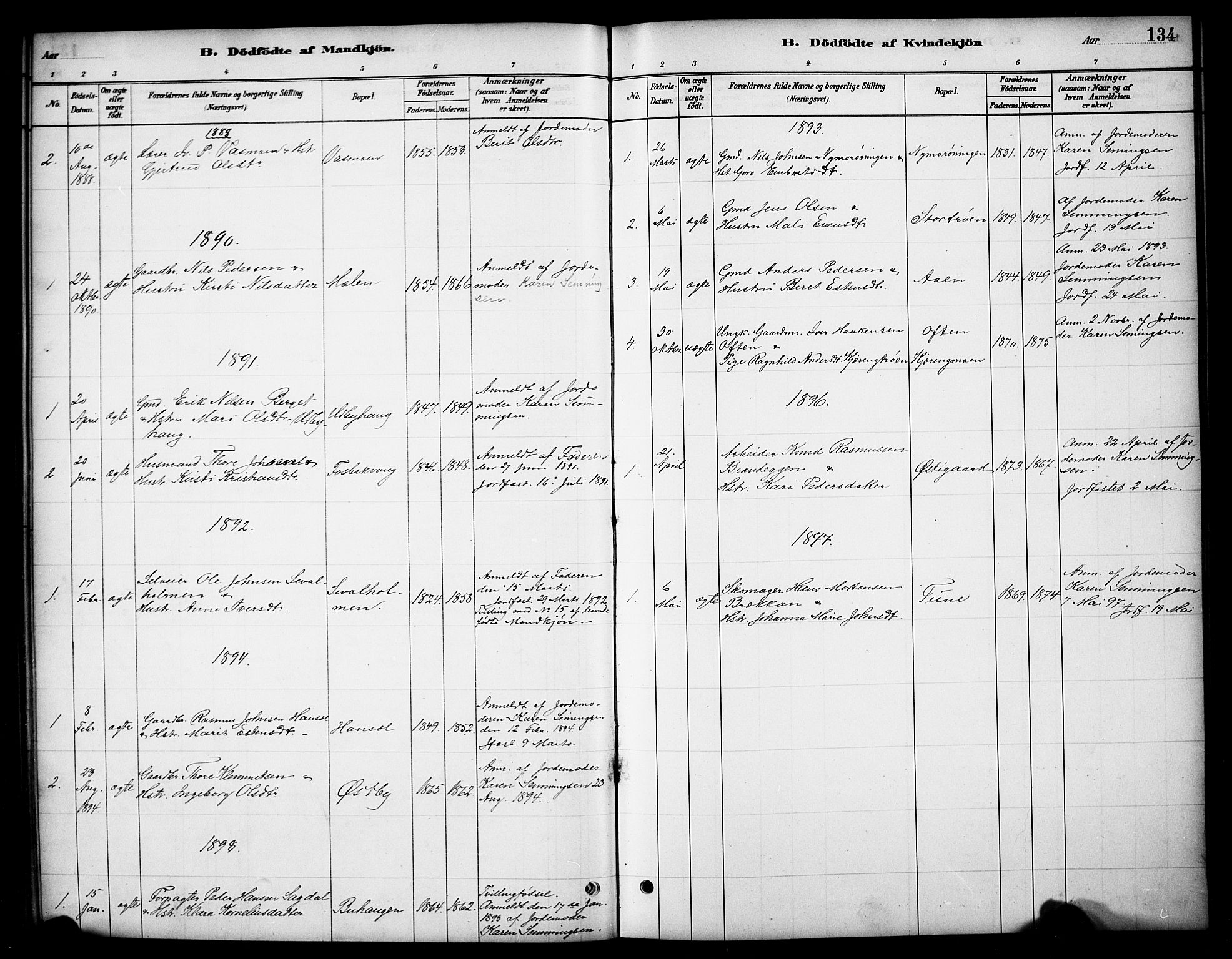 Tynset prestekontor, SAH/PREST-058/H/Ha/Hab/L0006: Parish register (copy) no. 6, 1880-1899, p. 134