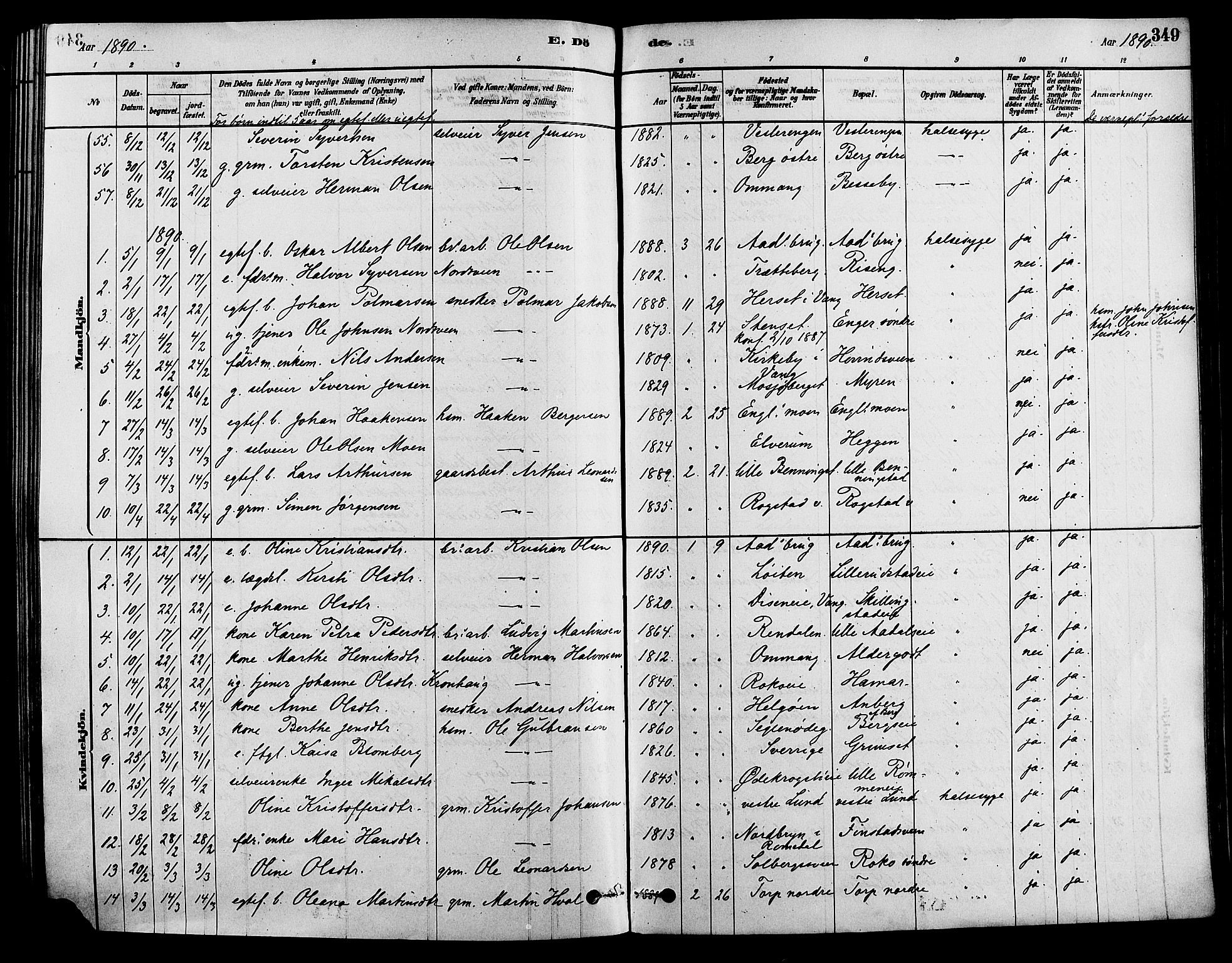 Løten prestekontor, AV/SAH-PREST-022/K/Ka/L0009: Parish register (official) no. 9, 1878-1891, p. 349