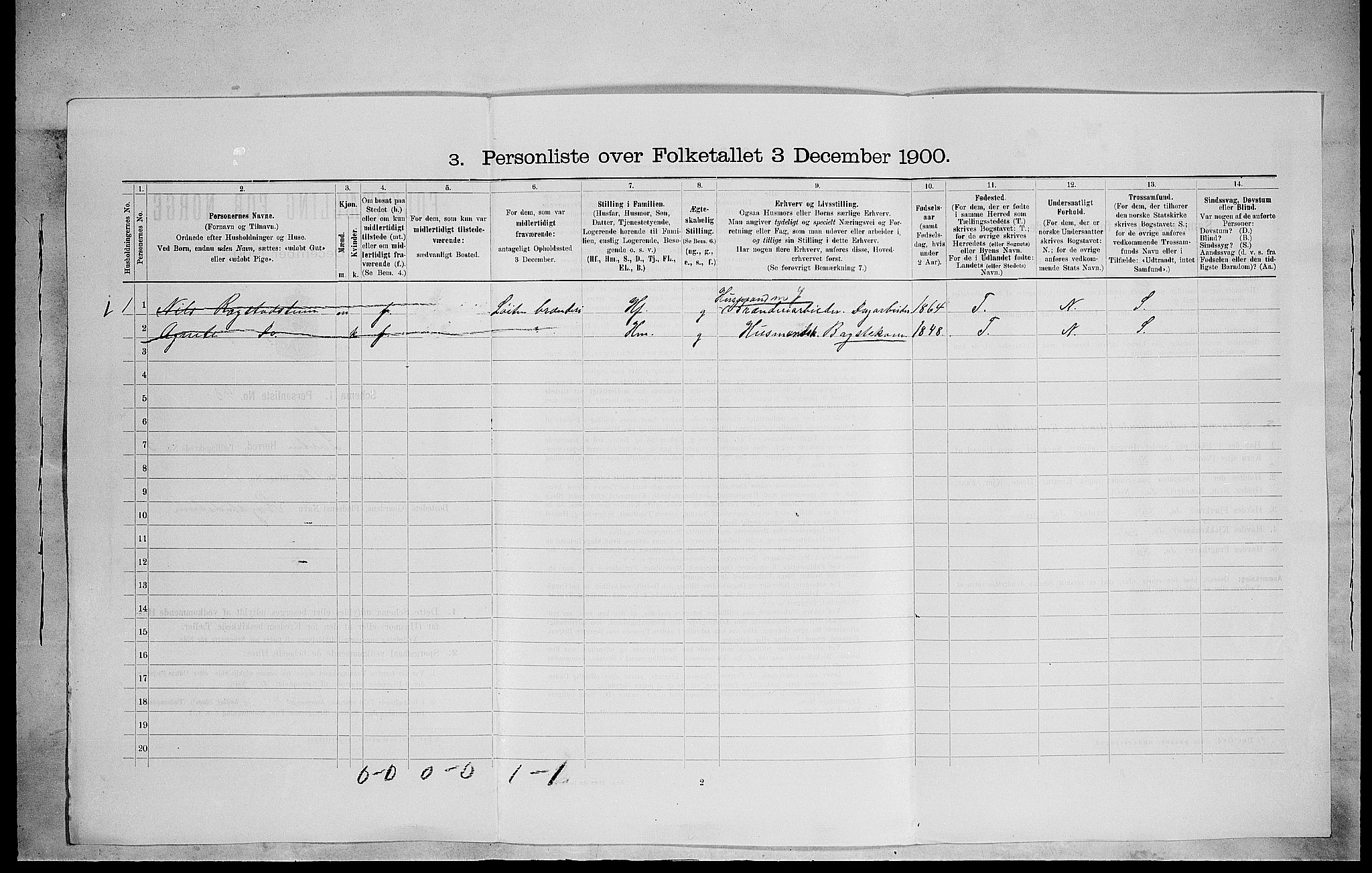 SAH, 1900 census for Løten, 1900, p. 1339