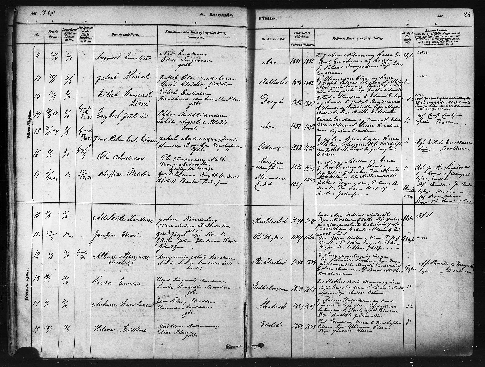 Tranøy sokneprestkontor, SATØ/S-1313/I/Ia/Iaa/L0009kirke: Parish register (official) no. 9, 1878-1904, p. 24