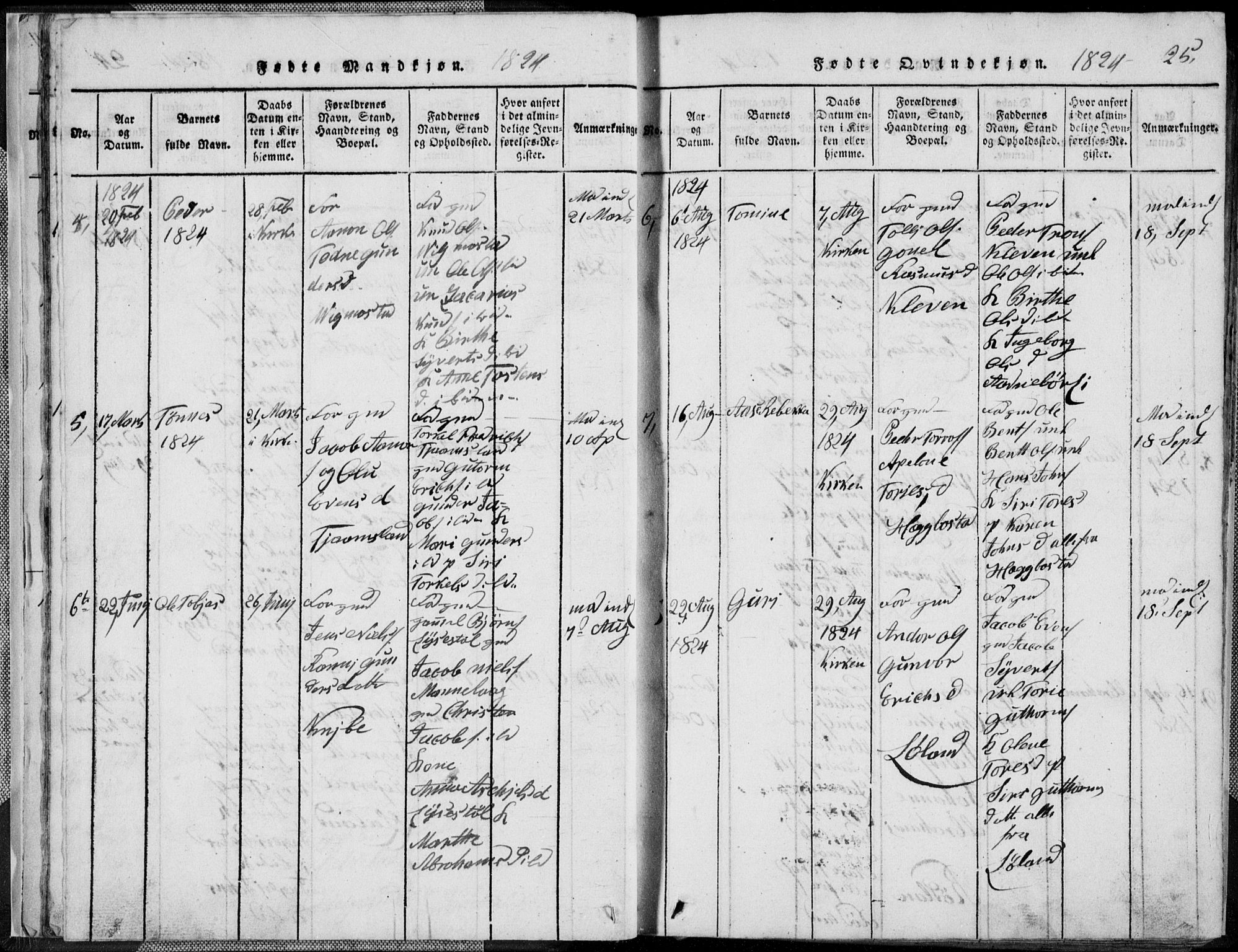 Nord-Audnedal sokneprestkontor, AV/SAK-1111-0032/F/Fb/Fbb/L0001: Parish register (copy) no. B 1, 1816-1858, p. 25