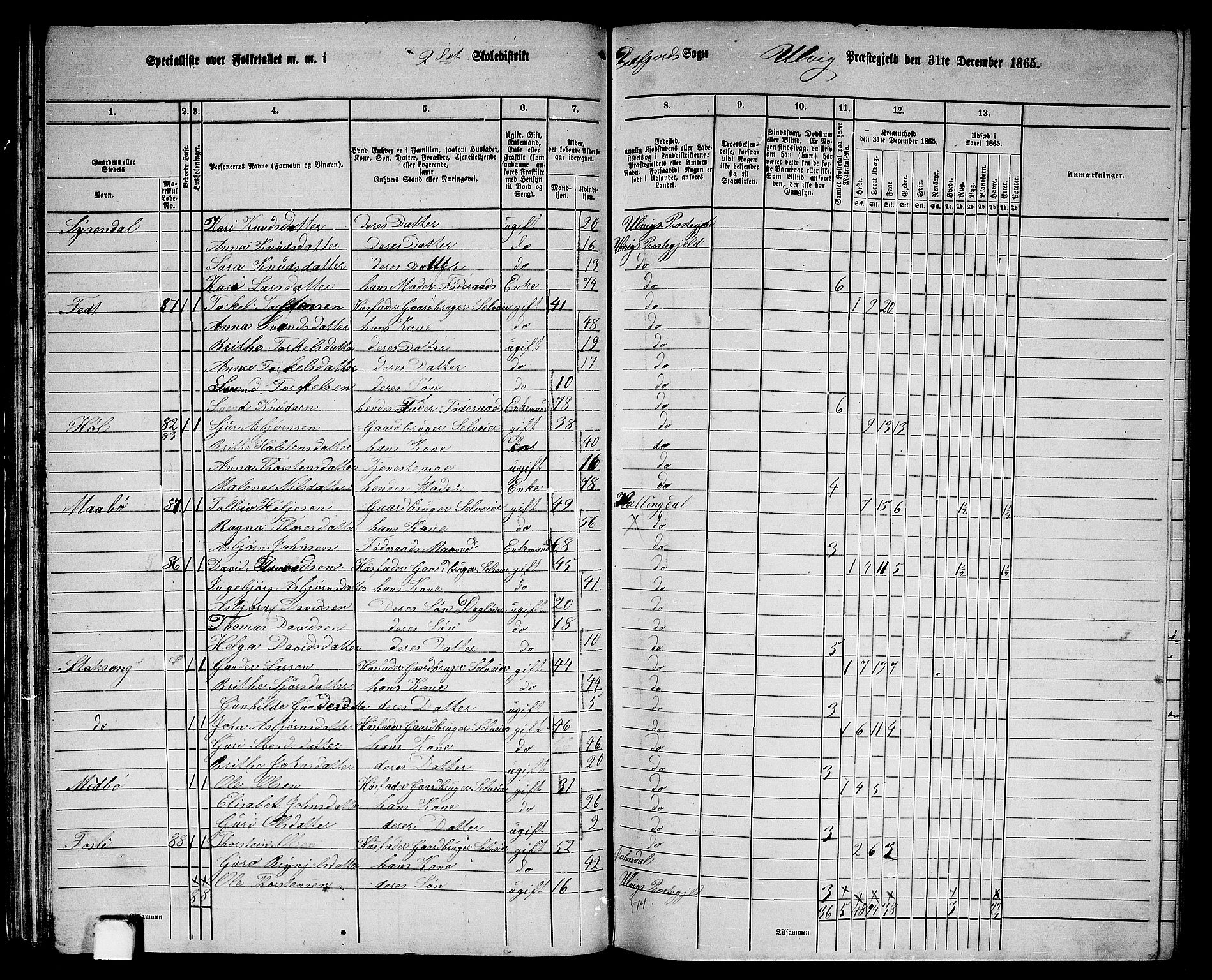 RA, 1865 census for Ulvik, 1865, p. 47