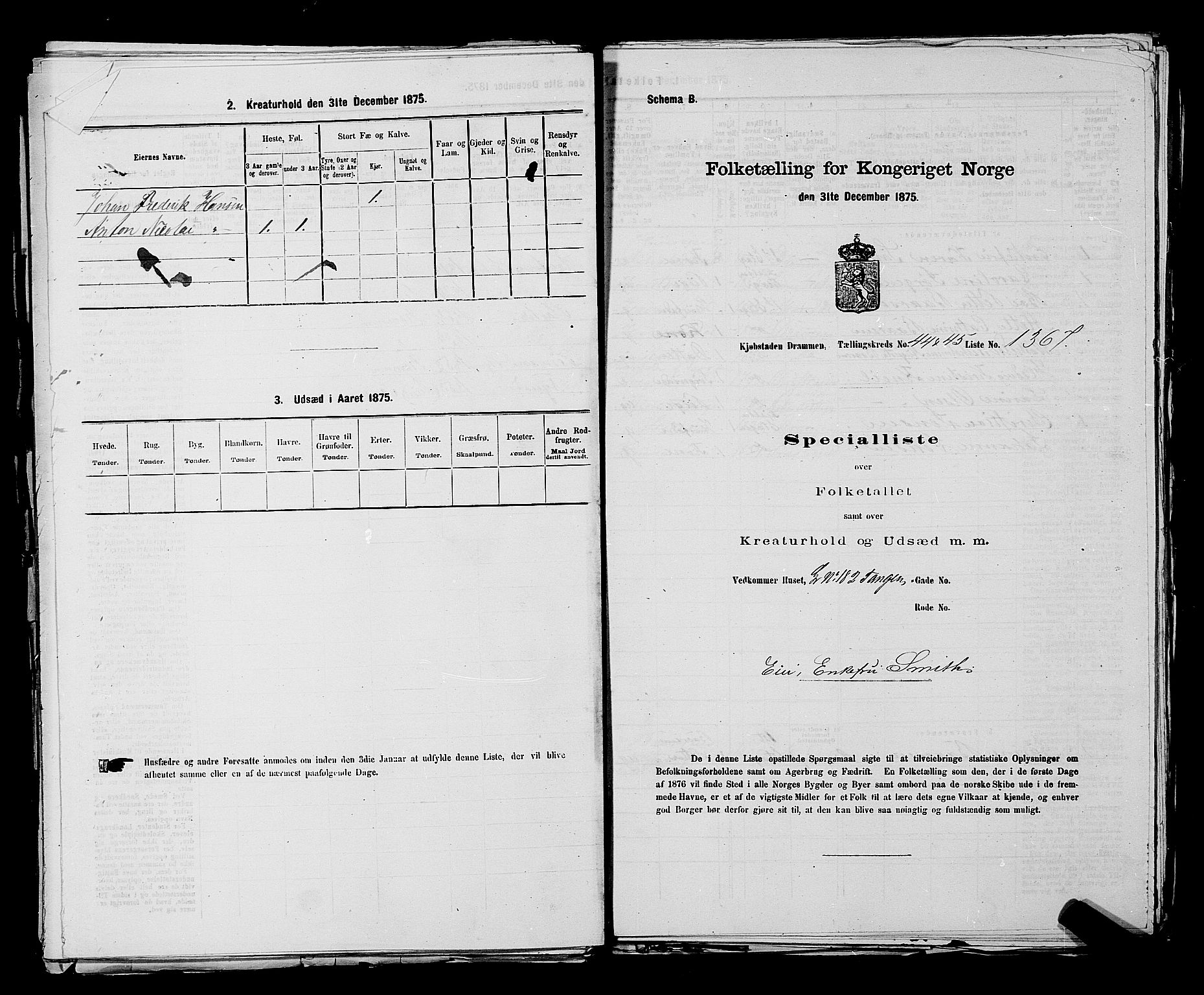 SAKO, 1875 census for 0602 Drammen, 1875, p. 3743