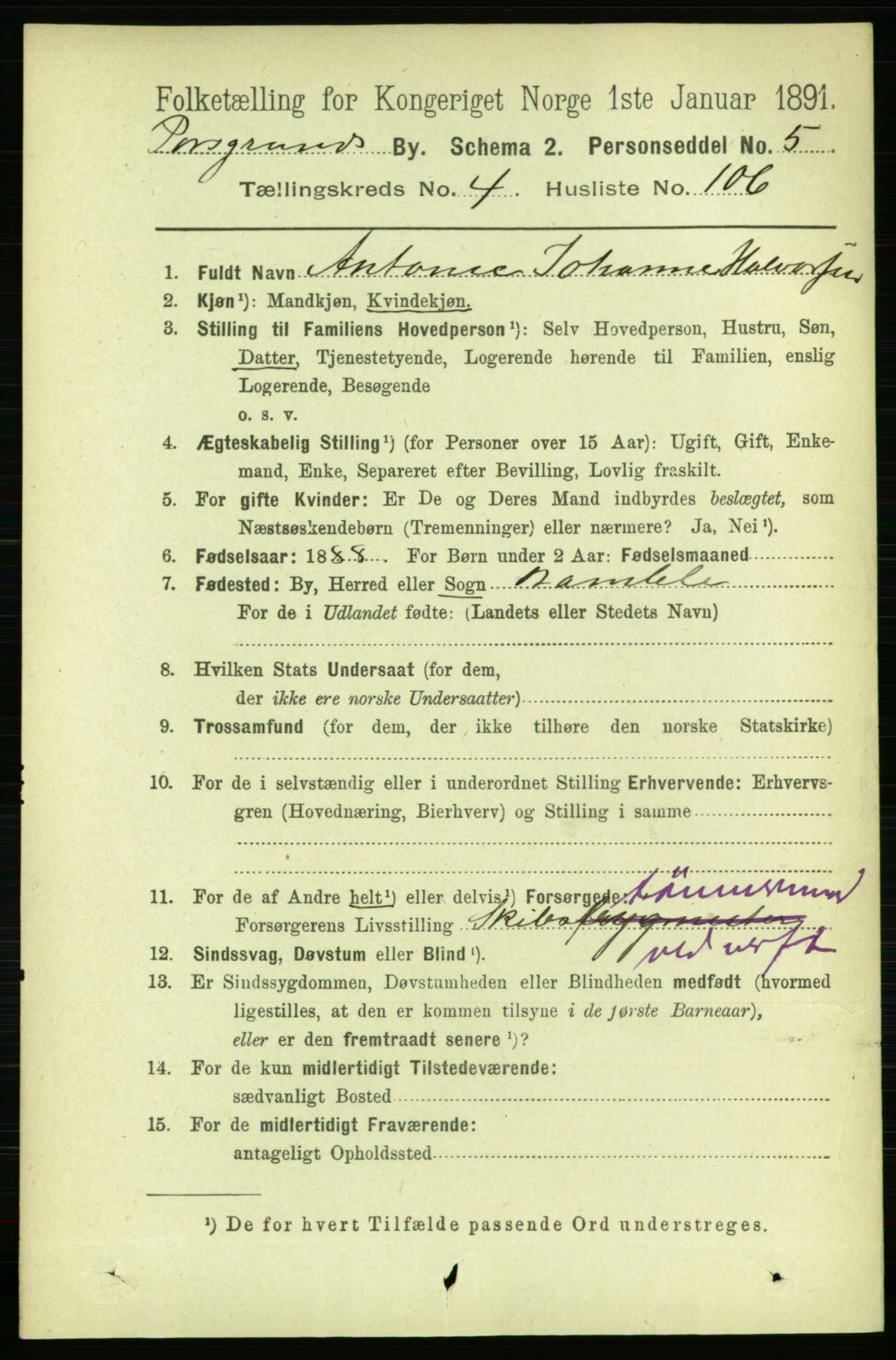 RA, 1891 census for 0805 Porsgrunn, 1891, p. 4443