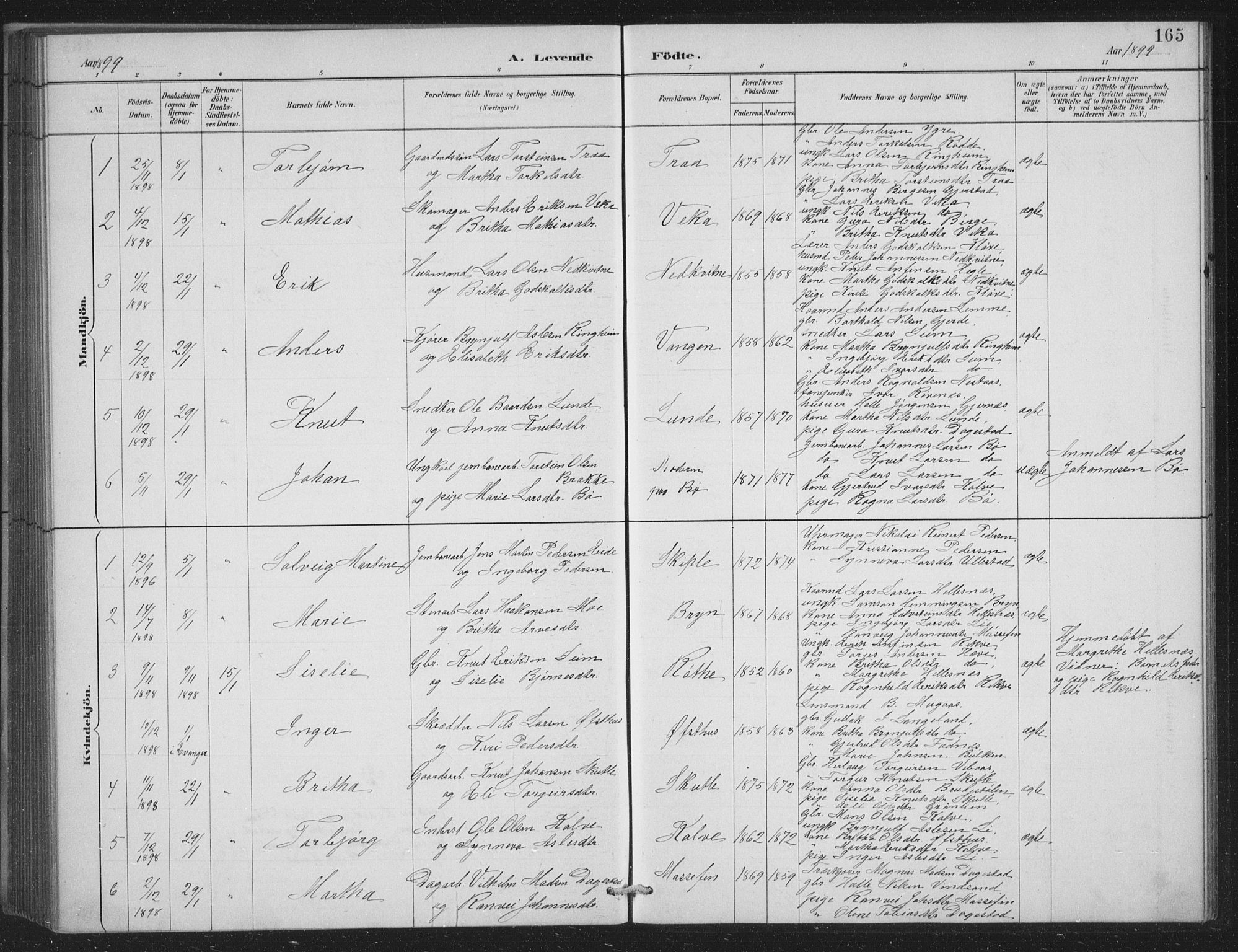 Voss sokneprestembete, SAB/A-79001/H/Hab: Parish register (copy) no. C 1, 1886-1899, p. 165