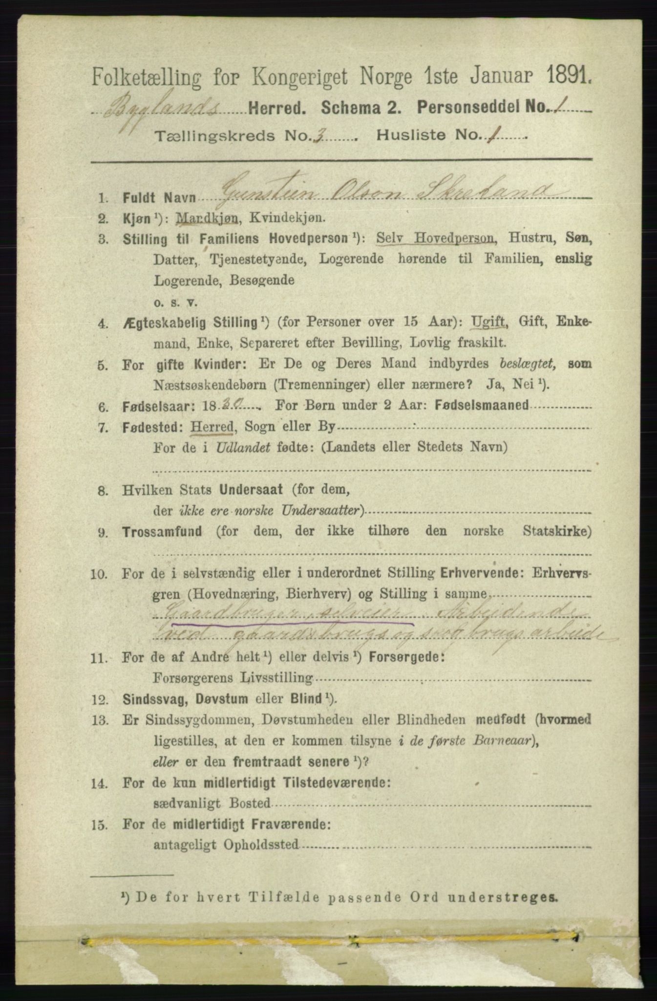 RA, 1891 census for 0938 Bygland, 1891, p. 570