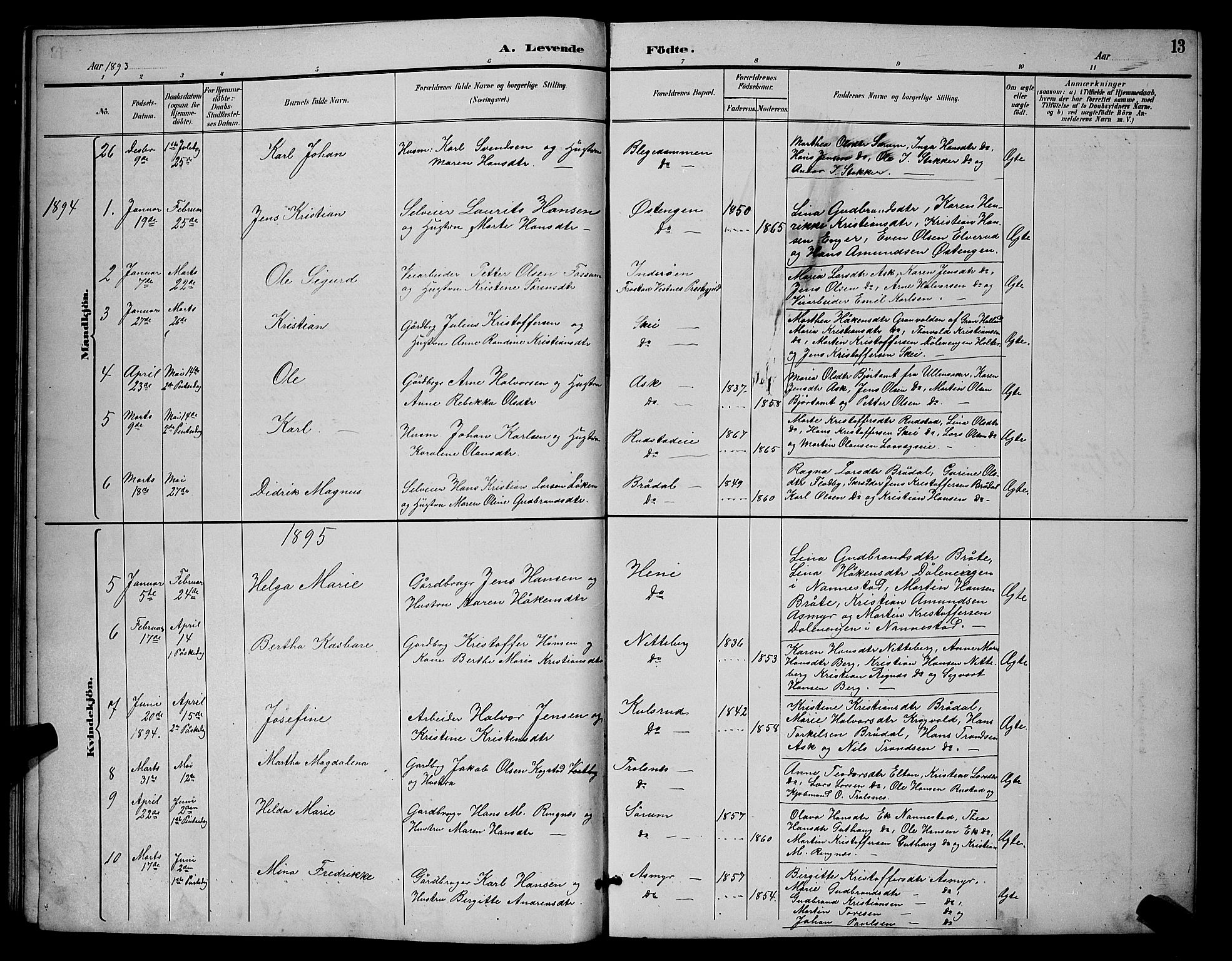 Gjerdrum prestekontor Kirkebøker, AV/SAO-A-10412b/G/Ga/L0005: Parish register (copy) no. I 5, 1891-1901, p. 13