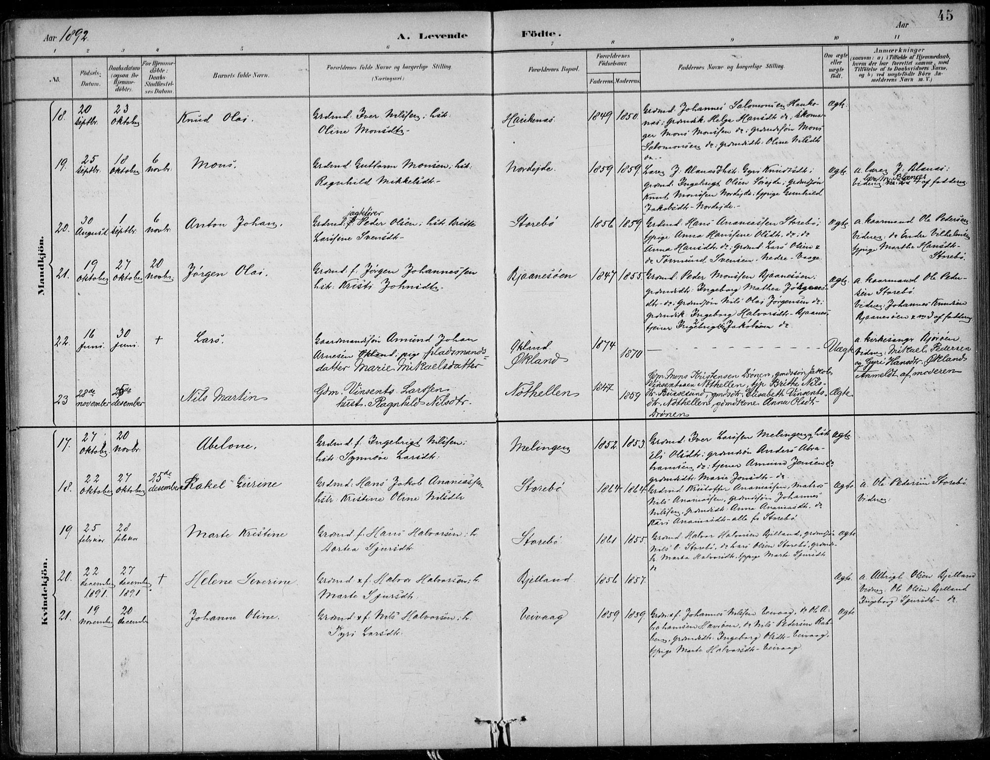 Sund sokneprestembete, SAB/A-99930: Parish register (official) no. C  1, 1882-1899, p. 45