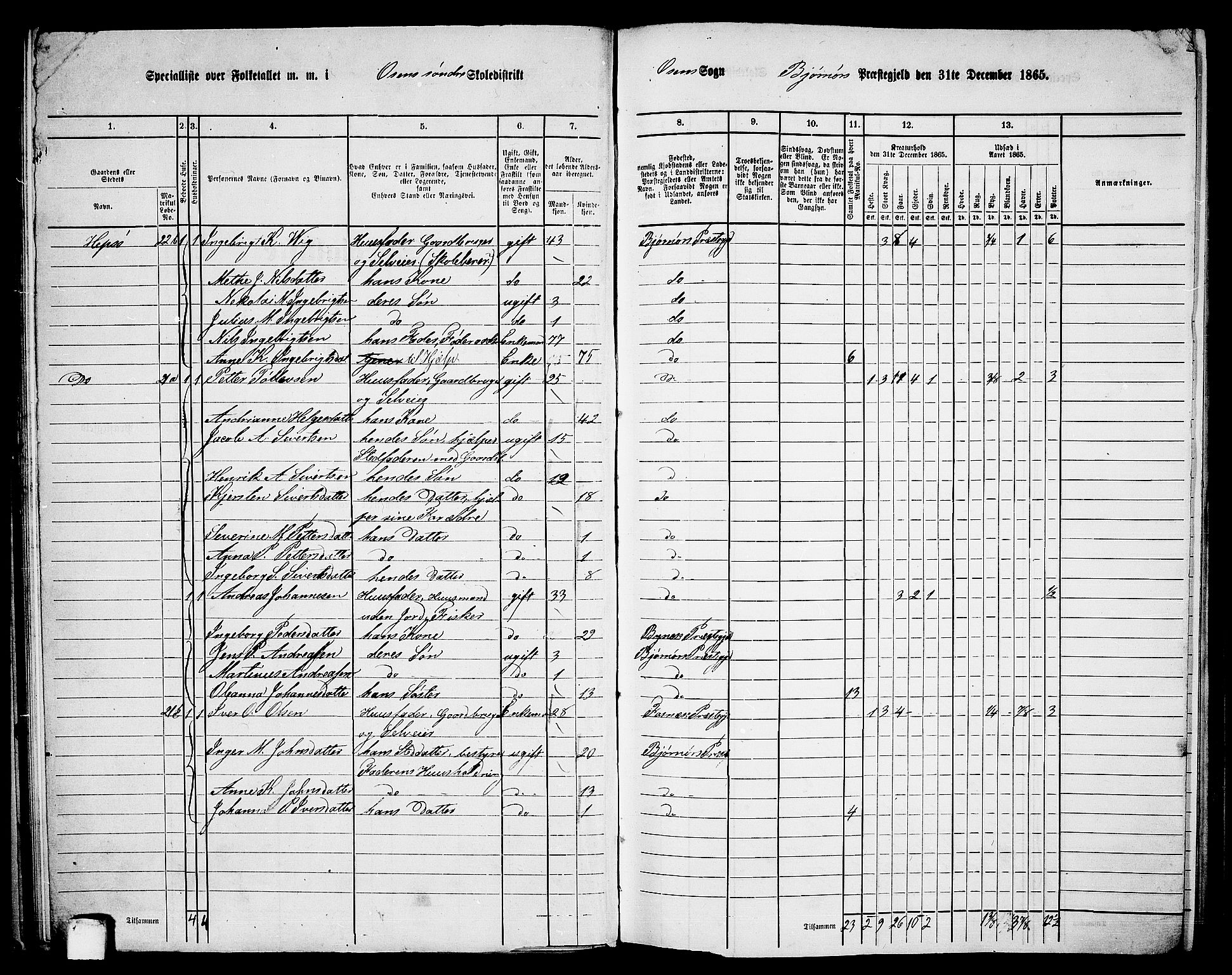 RA, 1865 census for Bjørnør, 1865, p. 43