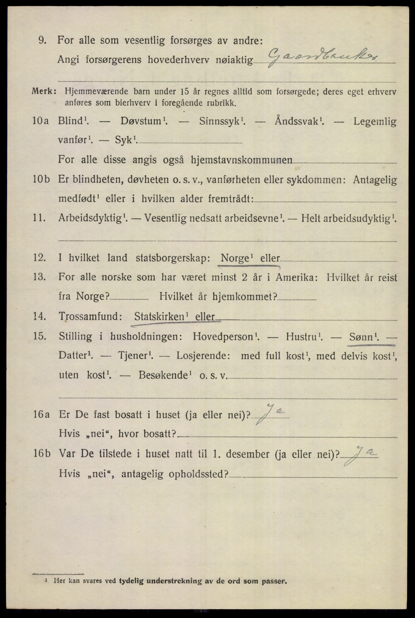 SAKO, 1920 census for Hemsedal, 1920, p. 2943