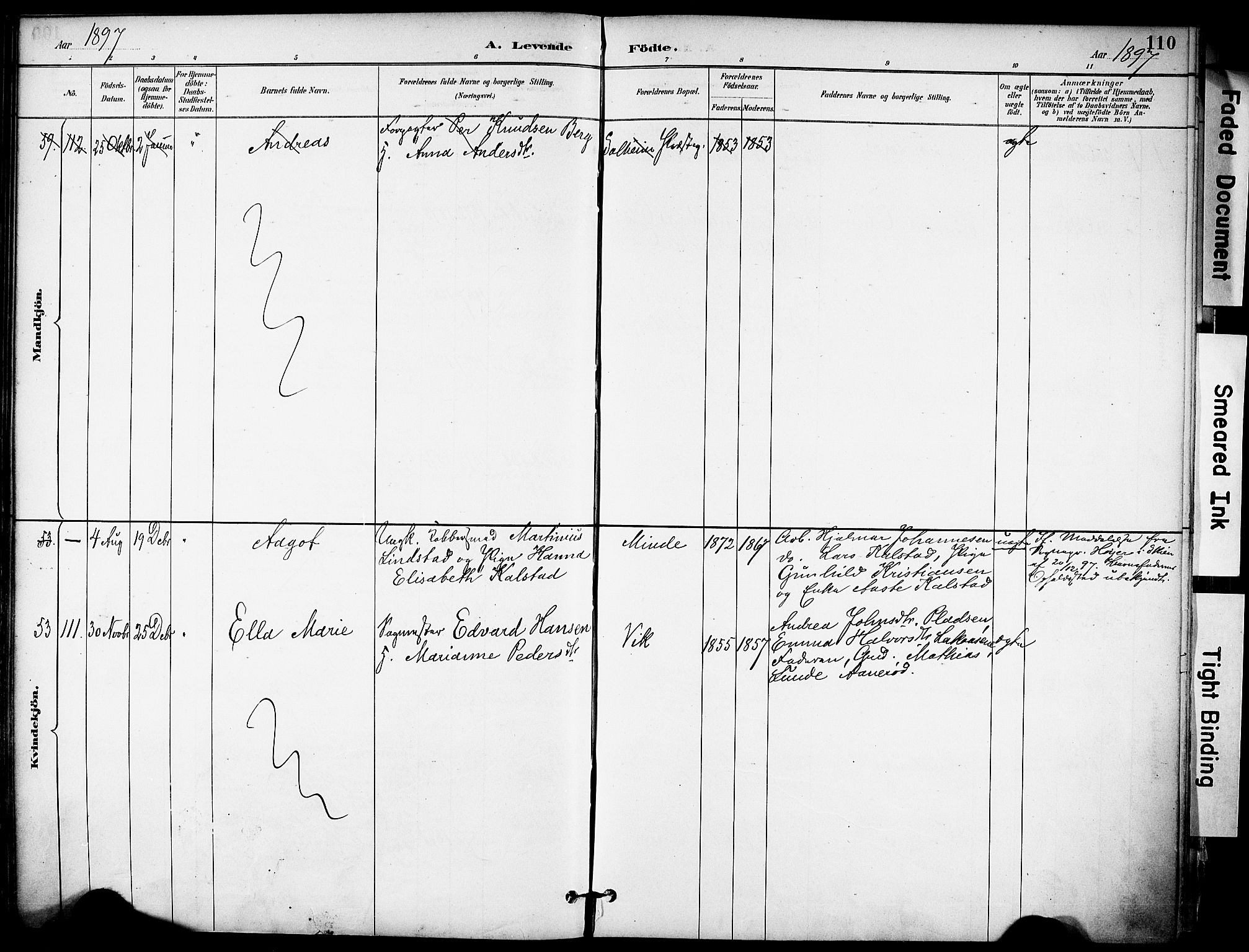 Solum kirkebøker, SAKO/A-306/F/Fa/L0010: Parish register (official) no. I 10, 1888-1898, p. 110