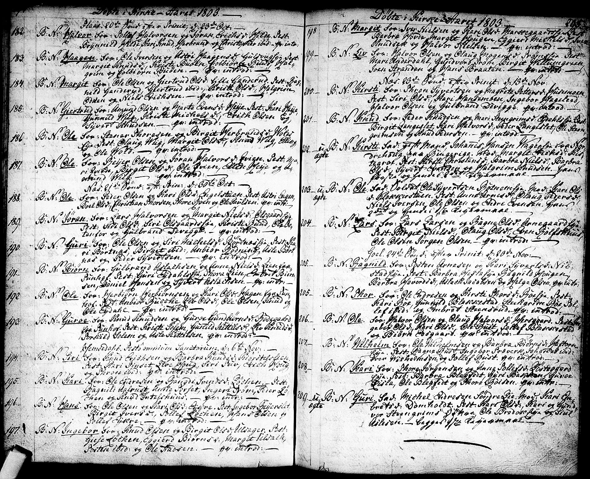 Nes kirkebøker, AV/SAKO-A-236/F/Fa/L0005: Parish register (official) no. 5, 1787-1807, p. 294-295