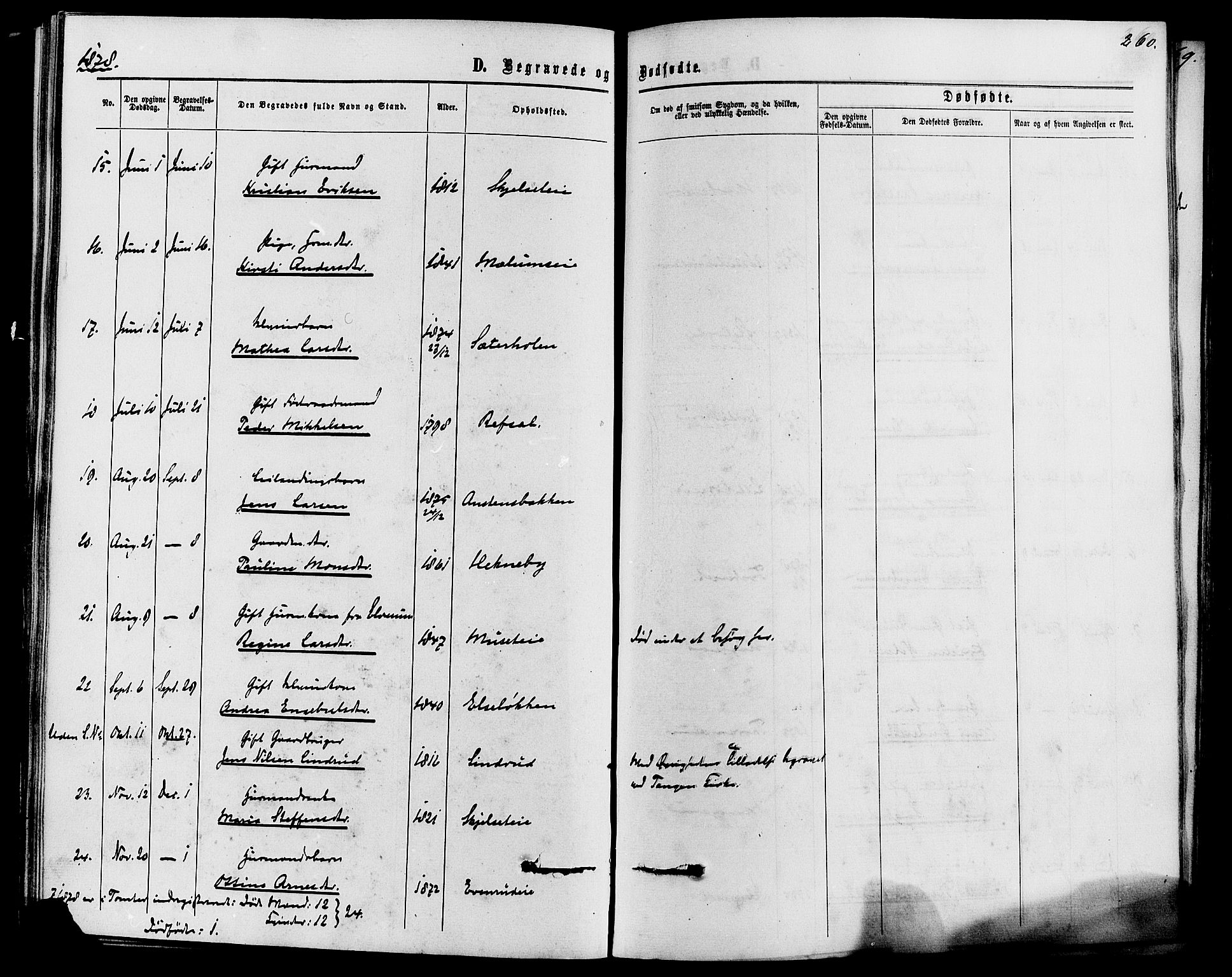 Romedal prestekontor, AV/SAH-PREST-004/K/L0006: Parish register (official) no. 6, 1866-1886, p. 260