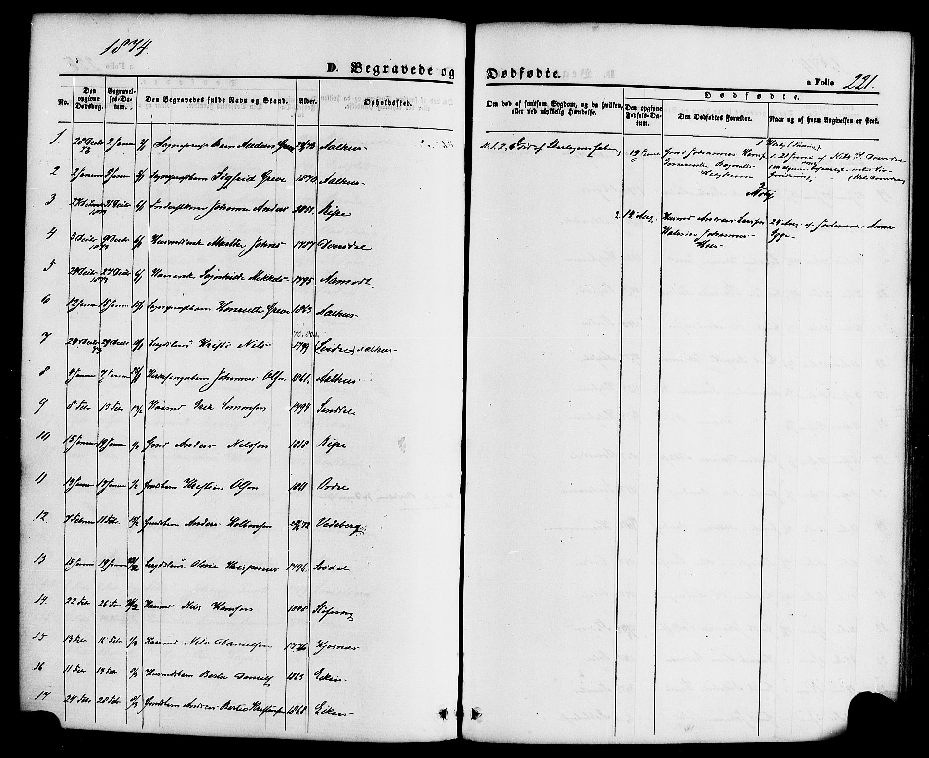 Jølster sokneprestembete, SAB/A-80701/H/Haa/Haaa/L0011: Parish register (official) no. A 11, 1866-1881, p. 221