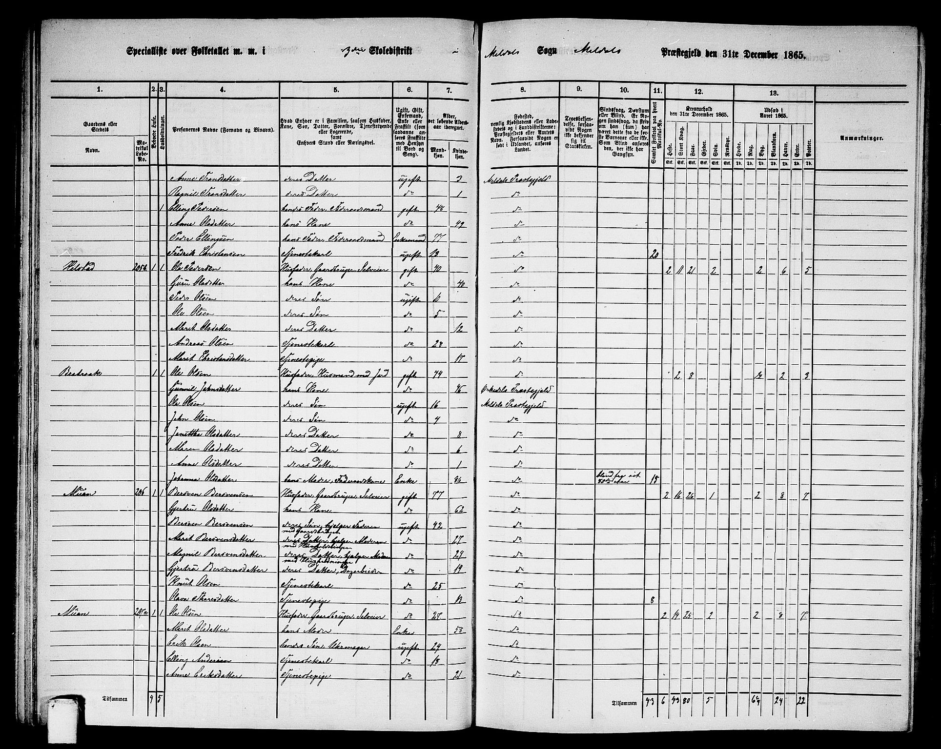 RA, 1865 census for Meldal, 1865, p. 74