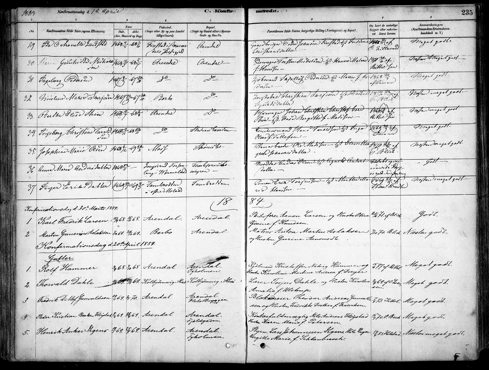 Arendal sokneprestkontor, Trefoldighet, SAK/1111-0040/F/Fa/L0008: Parish register (official) no. A 8, 1878-1899, p. 235