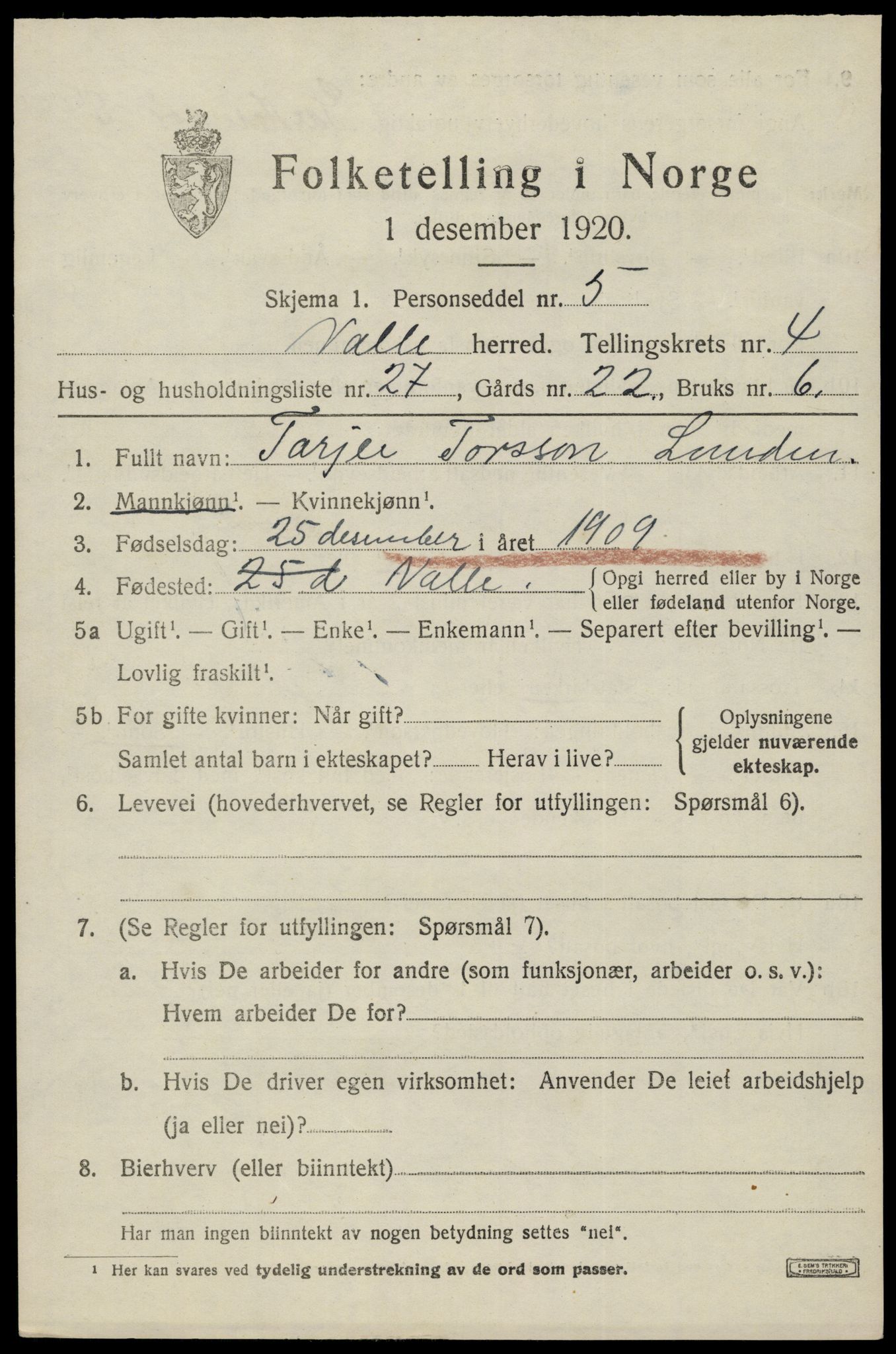 SAK, 1920 census for Valle, 1920, p. 2303