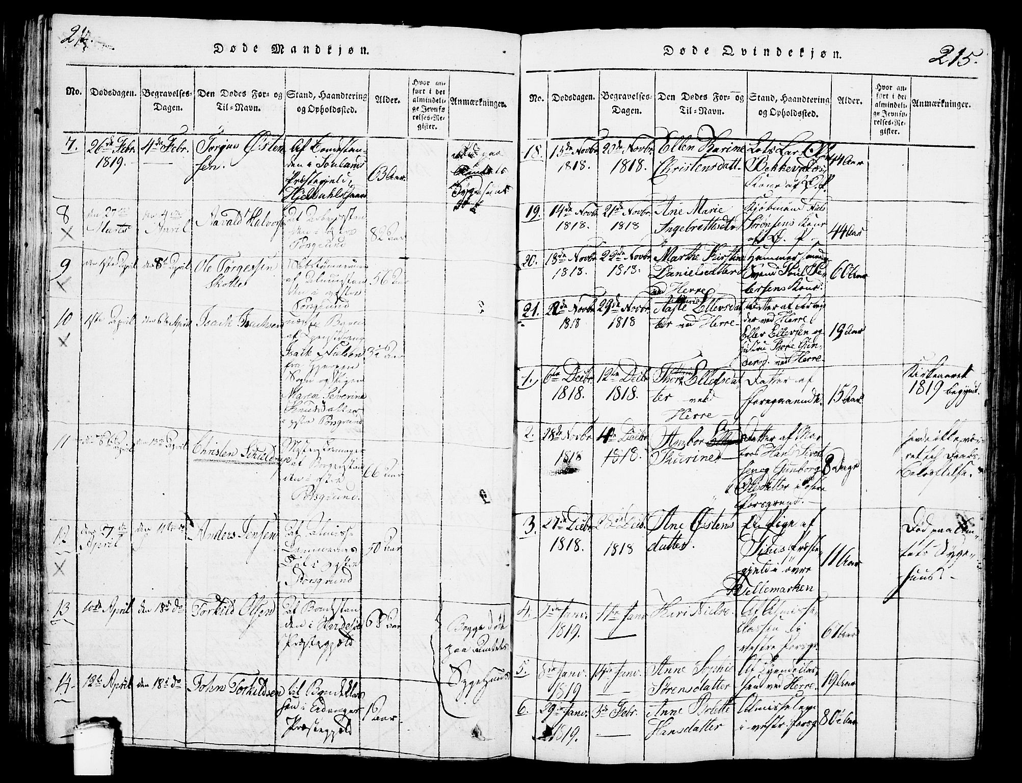 Porsgrunn kirkebøker , SAKO/A-104/G/Gb/L0001: Parish register (copy) no. II 1, 1817-1828, p. 214-215