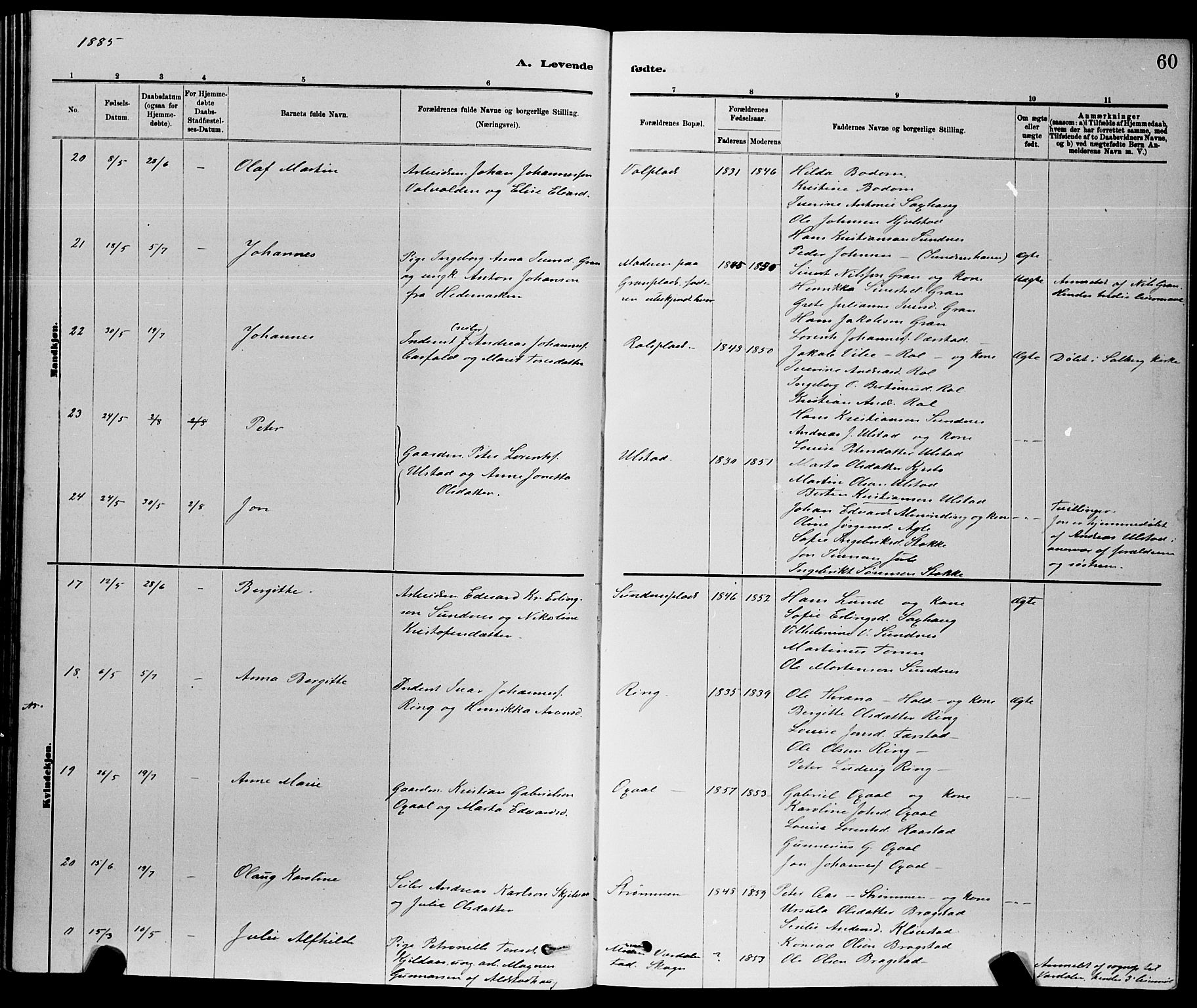 Ministerialprotokoller, klokkerbøker og fødselsregistre - Nord-Trøndelag, AV/SAT-A-1458/730/L0301: Parish register (copy) no. 730C04, 1880-1897, p. 60