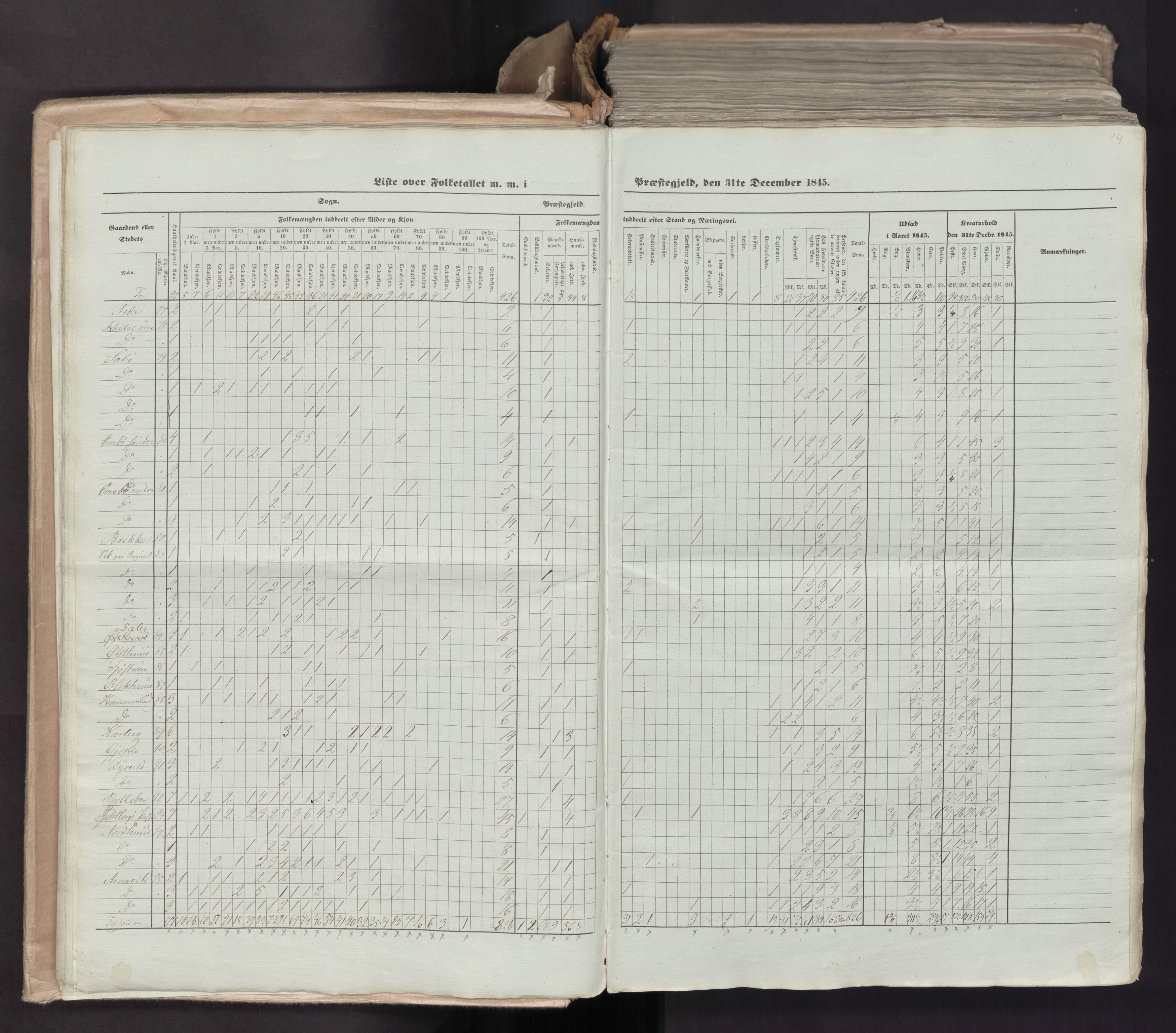 RA, Census 1845, vol. 7: Søndre Bergenhus amt og Nordre Bergenhus amt, 1845, p. 24