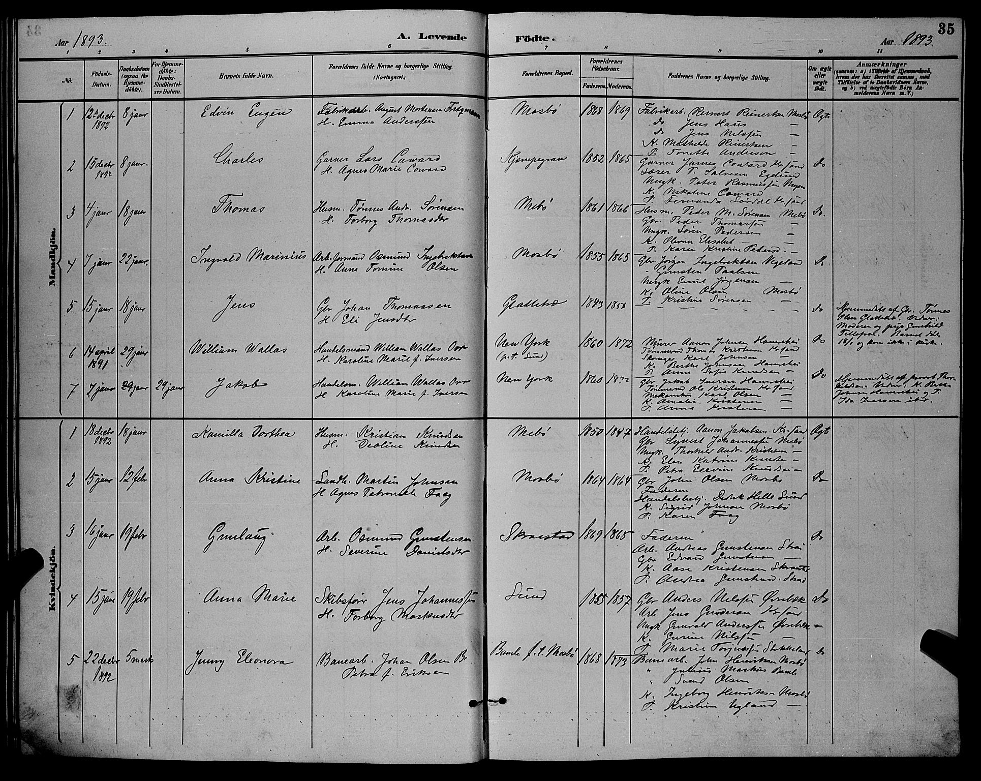 Oddernes sokneprestkontor, AV/SAK-1111-0033/F/Fb/Fba/L0008: Parish register (copy) no. B 8, 1887-1898, p. 35