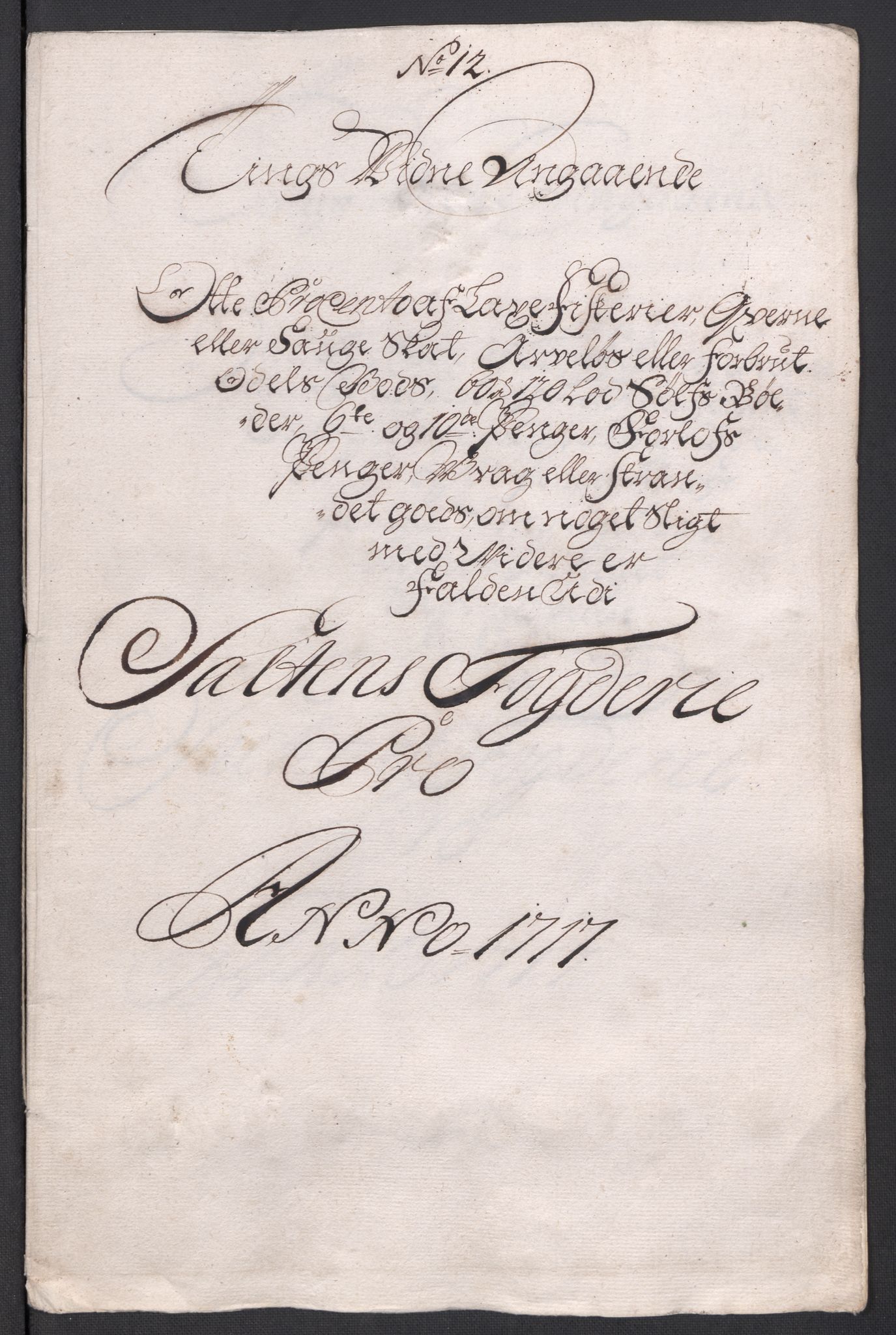 Rentekammeret inntil 1814, Reviderte regnskaper, Fogderegnskap, AV/RA-EA-4092/R66/L4587: Fogderegnskap Salten, 1717, p. 138