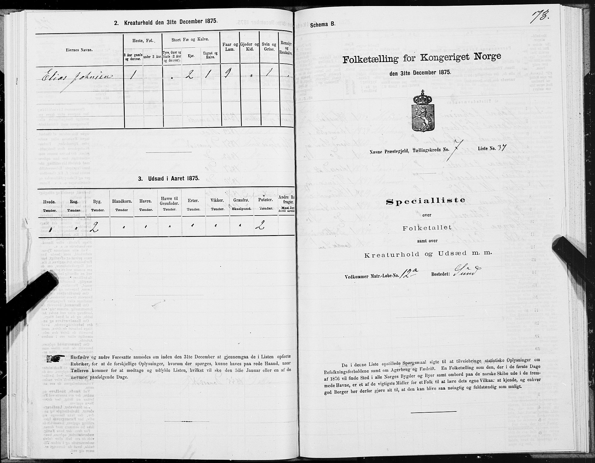 SAT, 1875 census for 1828P Nesna, 1875, p. 6073