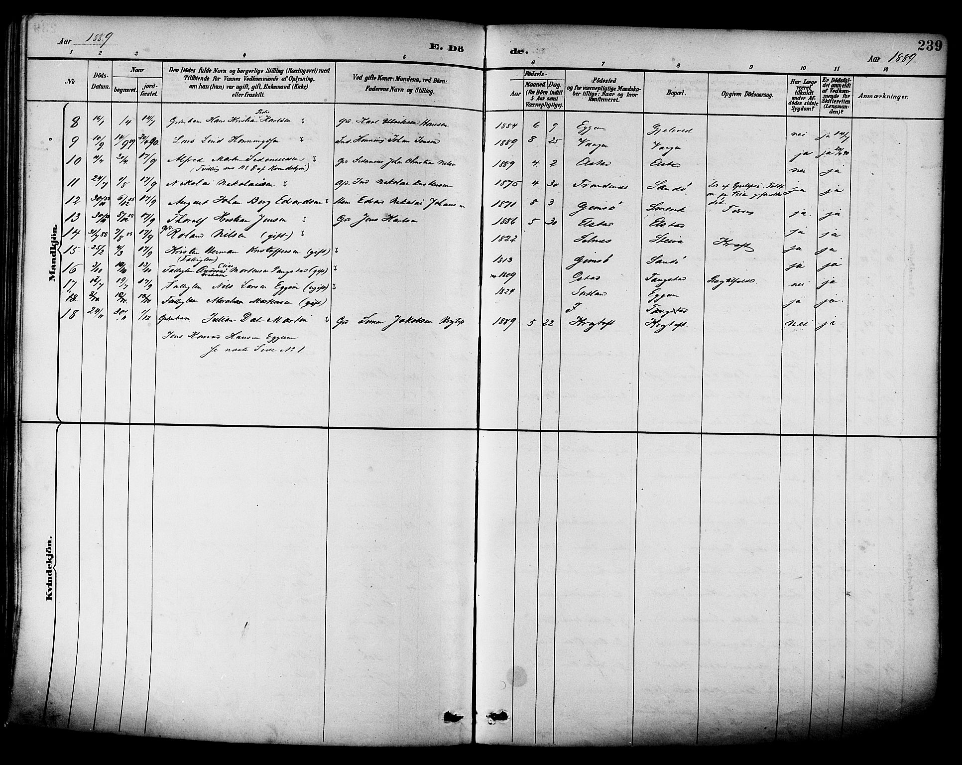 Ministerialprotokoller, klokkerbøker og fødselsregistre - Nordland, AV/SAT-A-1459/880/L1133: Parish register (official) no. 880A07, 1888-1898, p. 239