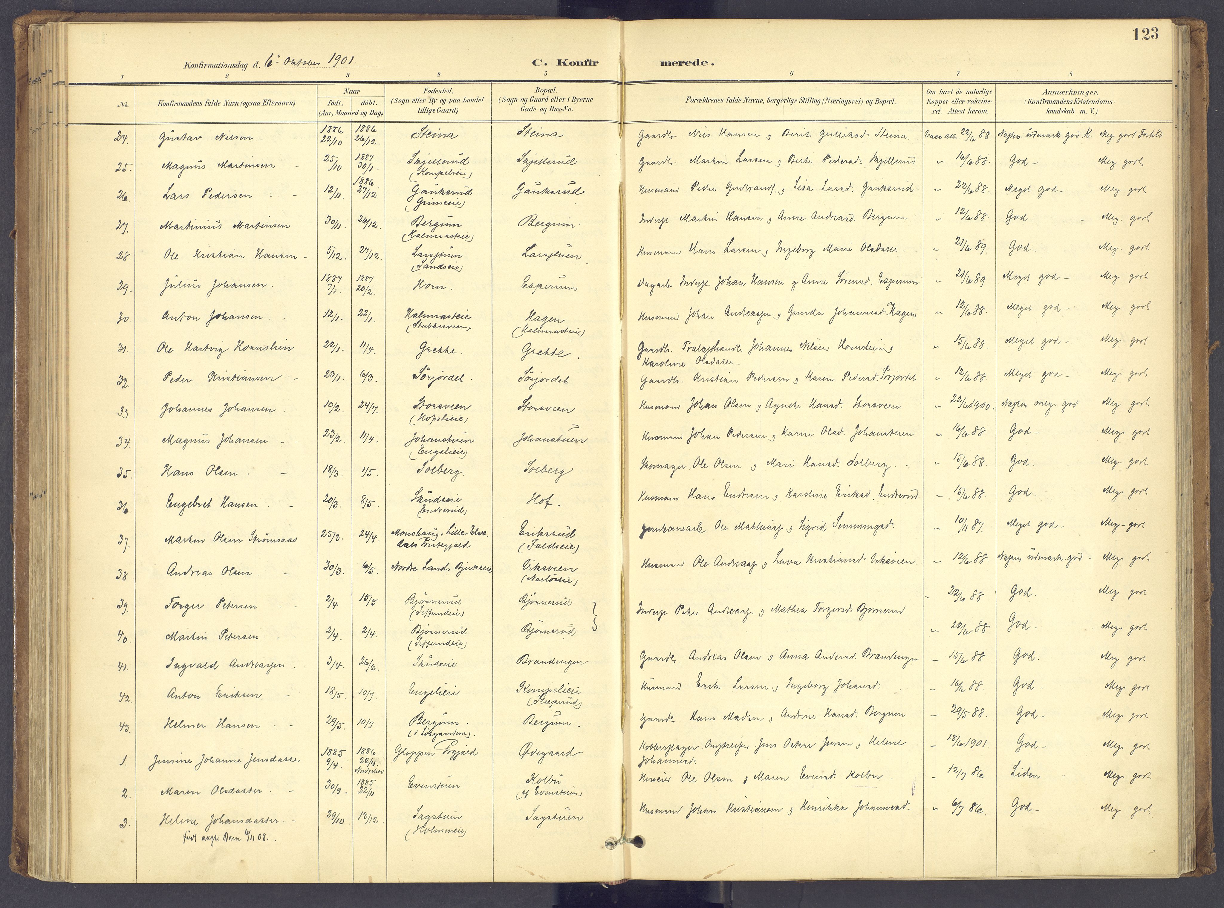 Søndre Land prestekontor, SAH/PREST-122/K/L0006: Parish register (official) no. 6, 1895-1904, p. 123