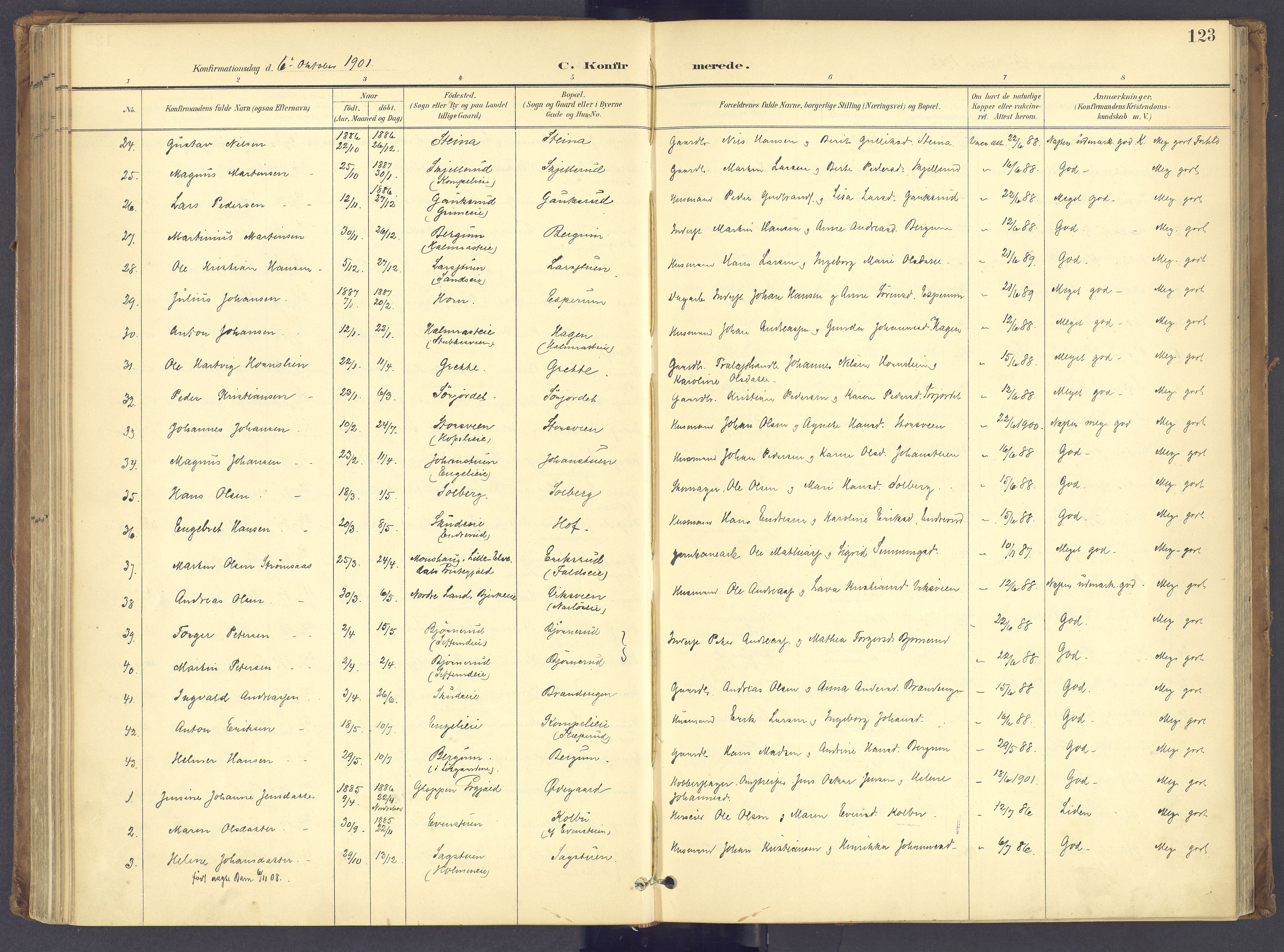 Søndre Land prestekontor, AV/SAH-PREST-122/K/L0006: Parish register (official) no. 6, 1895-1904, p. 123