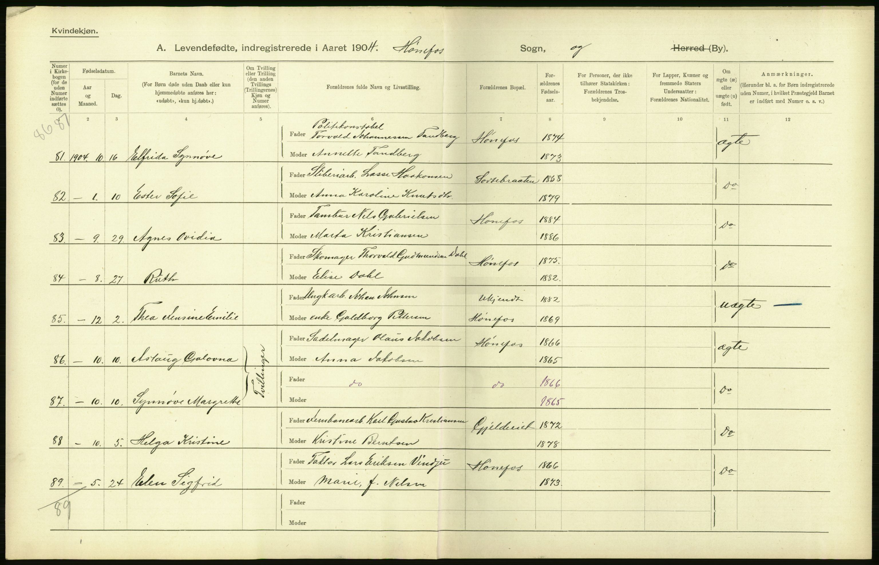 Statistisk sentralbyrå, Sosiodemografiske emner, Befolkning, AV/RA-S-2228/D/Df/Dfa/Dfab/L0007: Buskerud amt: Fødte, gifte, døde, 1904, p. 358