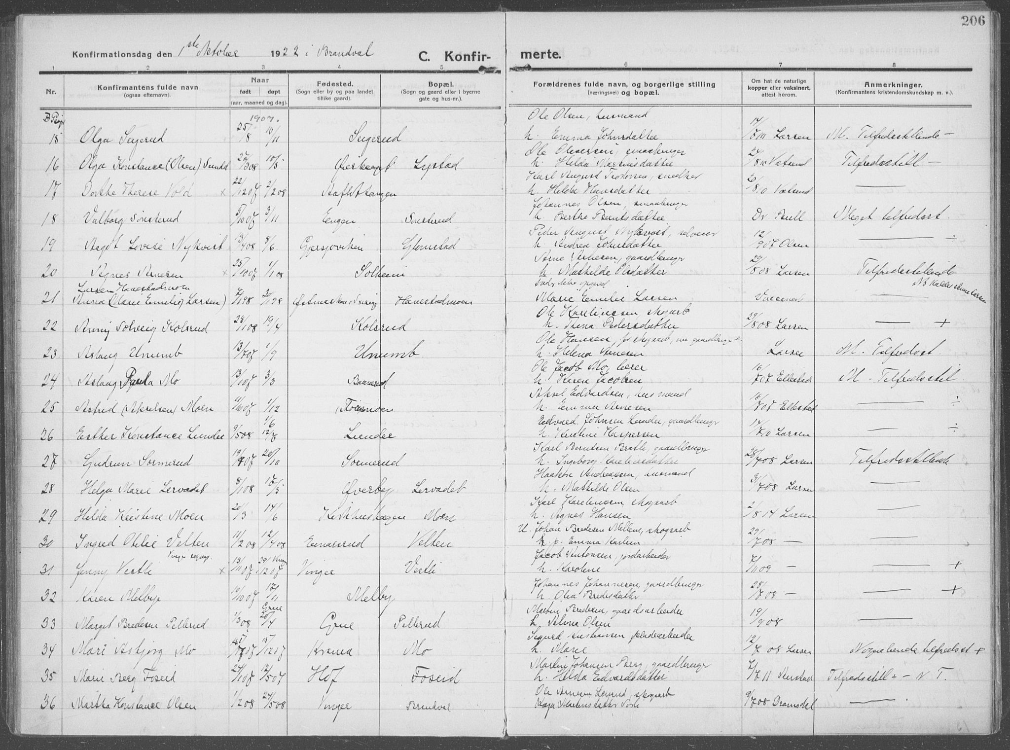 Brandval prestekontor, AV/SAH-PREST-034/H/Ha/Haa/L0004: Parish register (official) no. 4, 1910-1924, p. 206