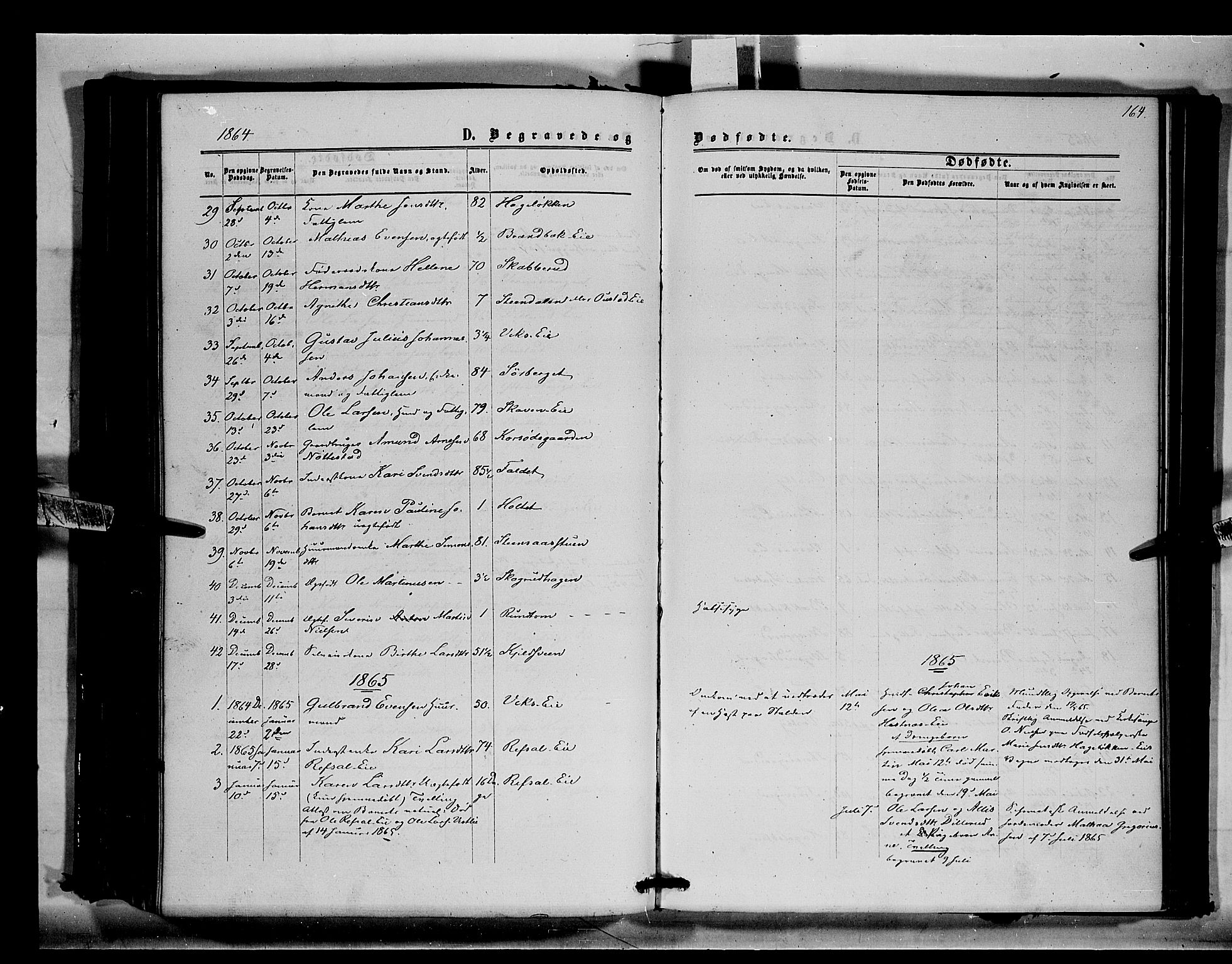 Stange prestekontor, AV/SAH-PREST-002/K/L0014: Parish register (official) no. 14, 1862-1879, p. 164