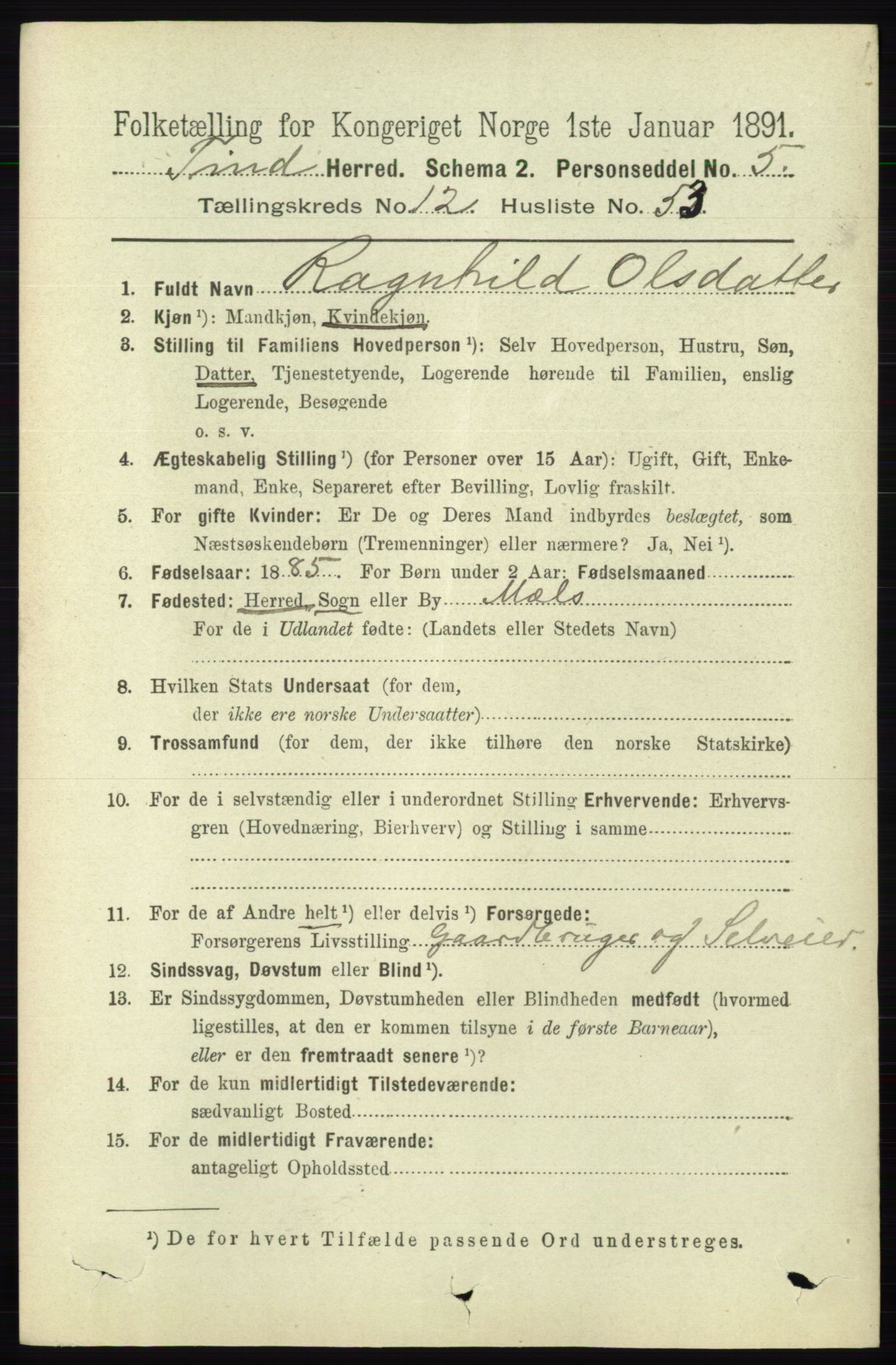 RA, 1891 census for 0826 Tinn, 1891, p. 2622