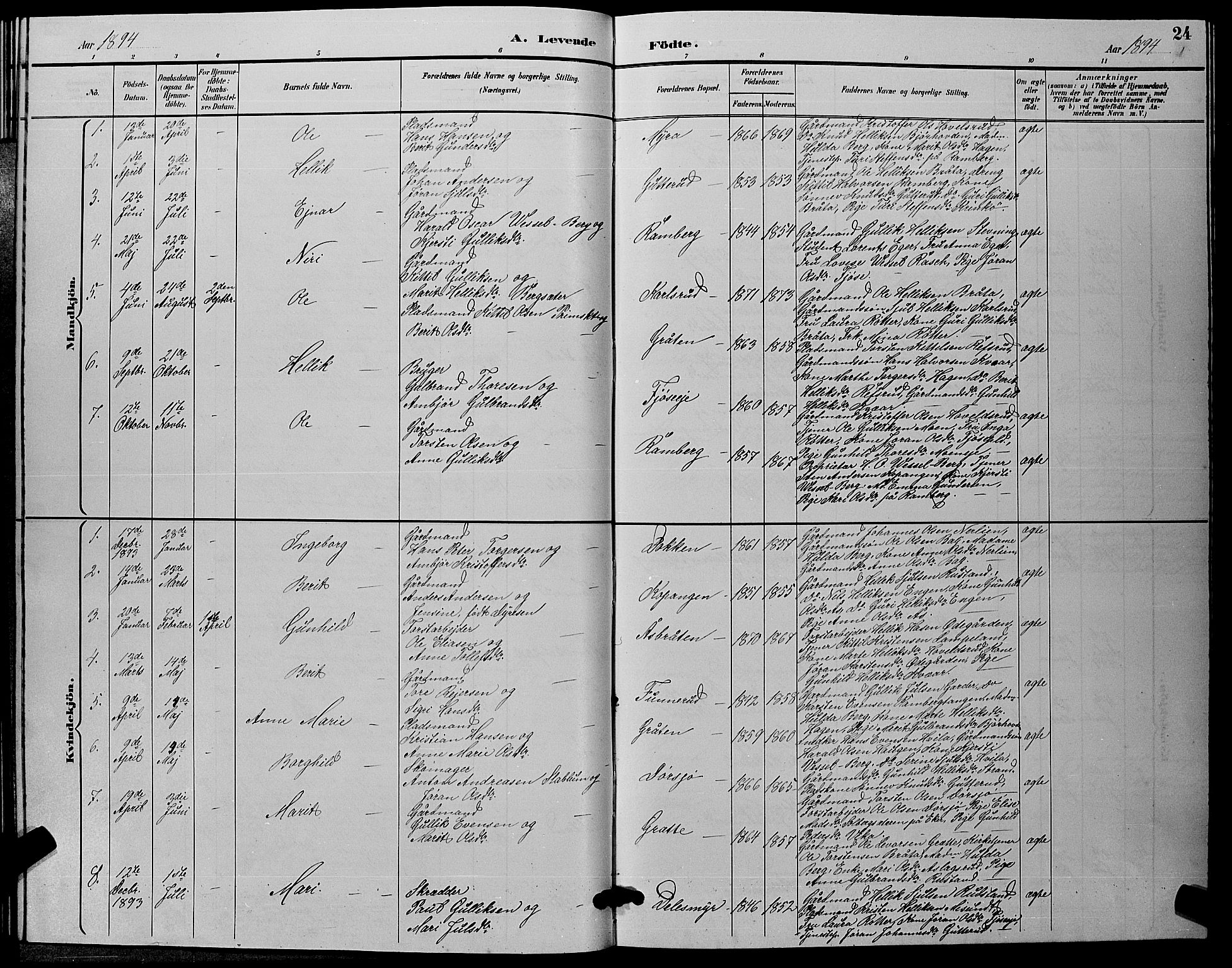 Flesberg kirkebøker, AV/SAKO-A-18/G/Ga/L0004: Parish register (copy) no. I 4 /2, 1890-1898, p. 24