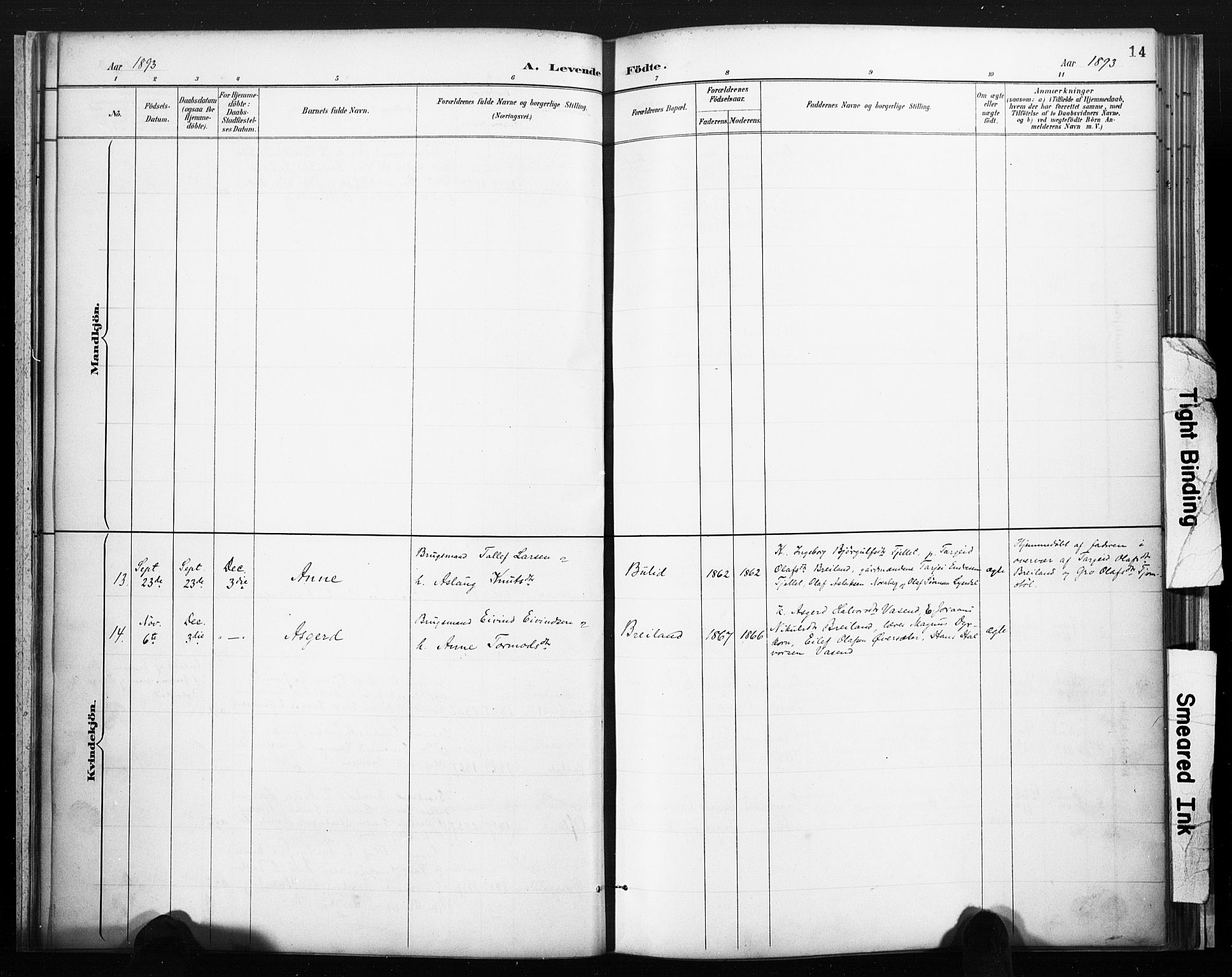 Lårdal kirkebøker, SAKO/A-284/F/Fc/L0002: Parish register (official) no. III 2, 1887-1906, p. 14