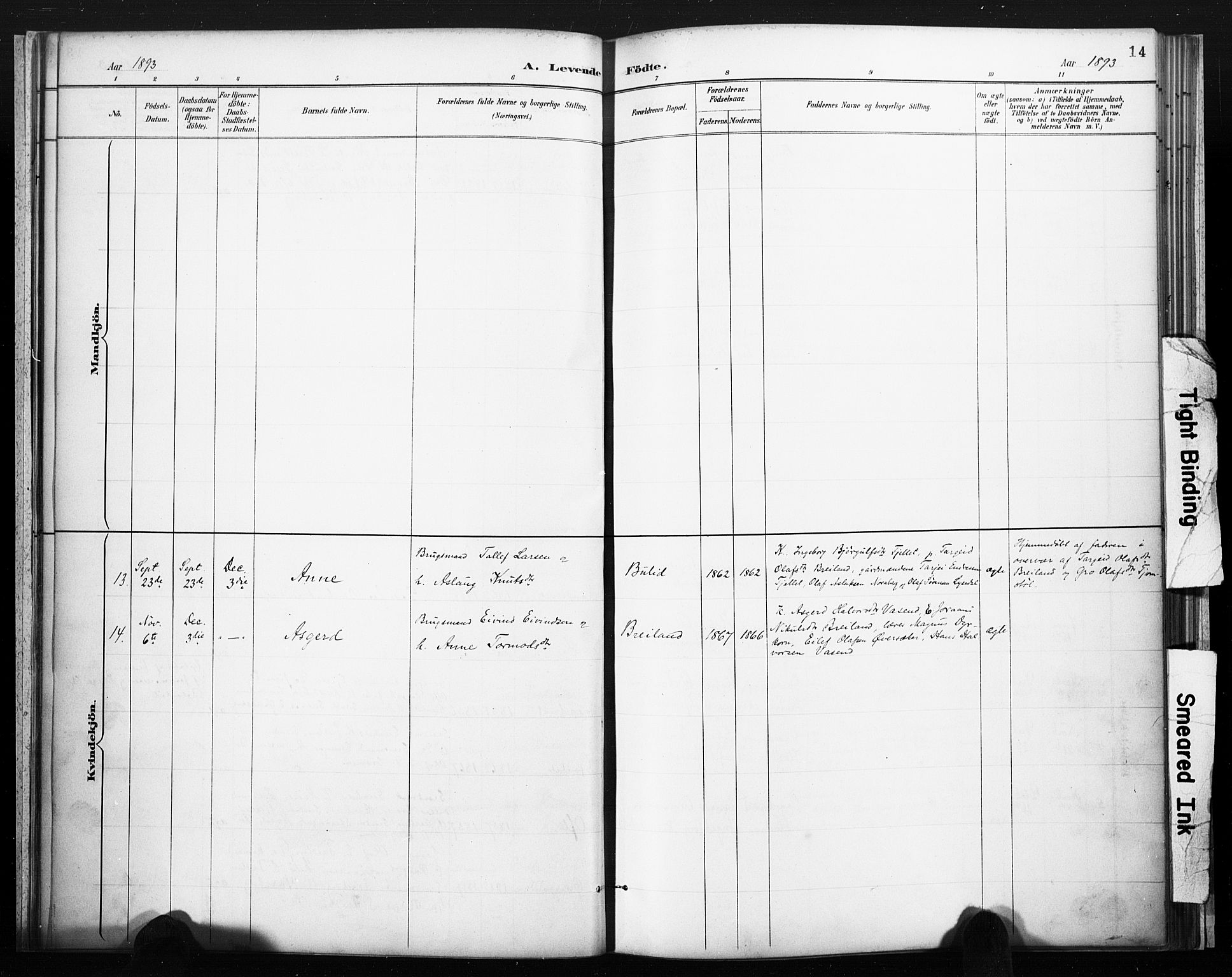 Lårdal kirkebøker, AV/SAKO-A-284/F/Fc/L0002: Parish register (official) no. III 2, 1887-1906, p. 14