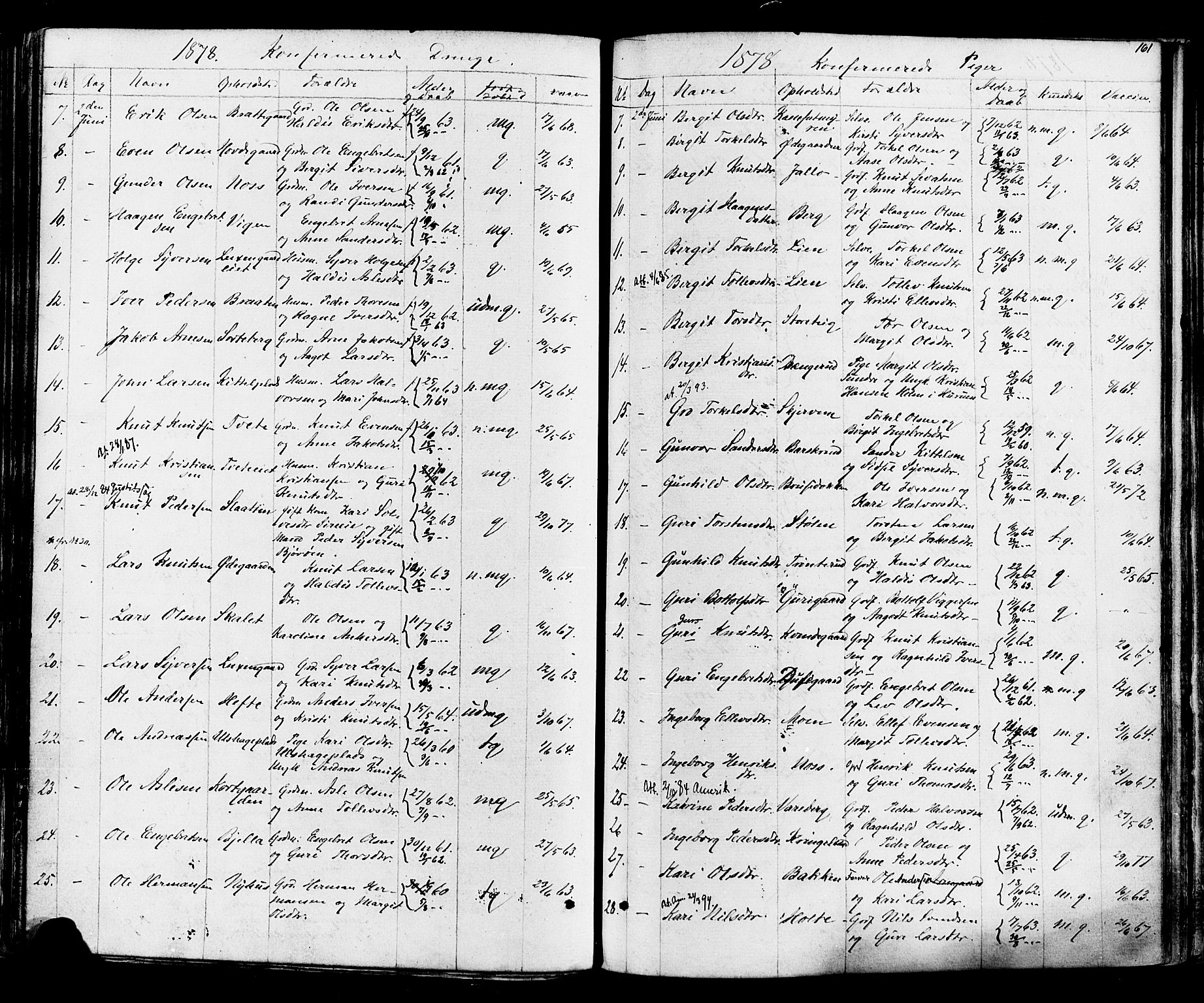 Ål kirkebøker, SAKO/A-249/F/Fa/L0007: Parish register (official) no. I 7, 1865-1881, p. 161